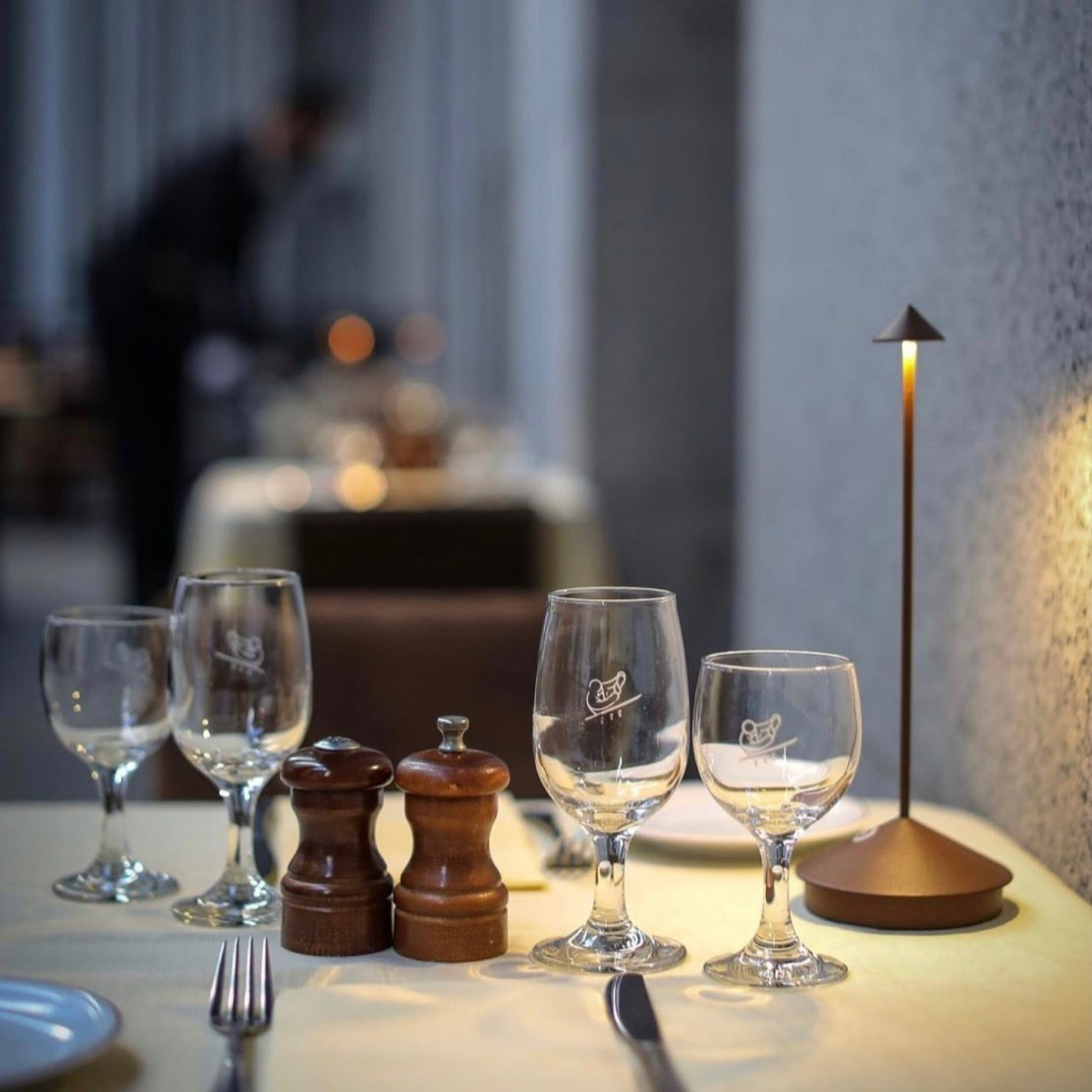 Pina Pro Cordless Indoor/Outdoor Lamp