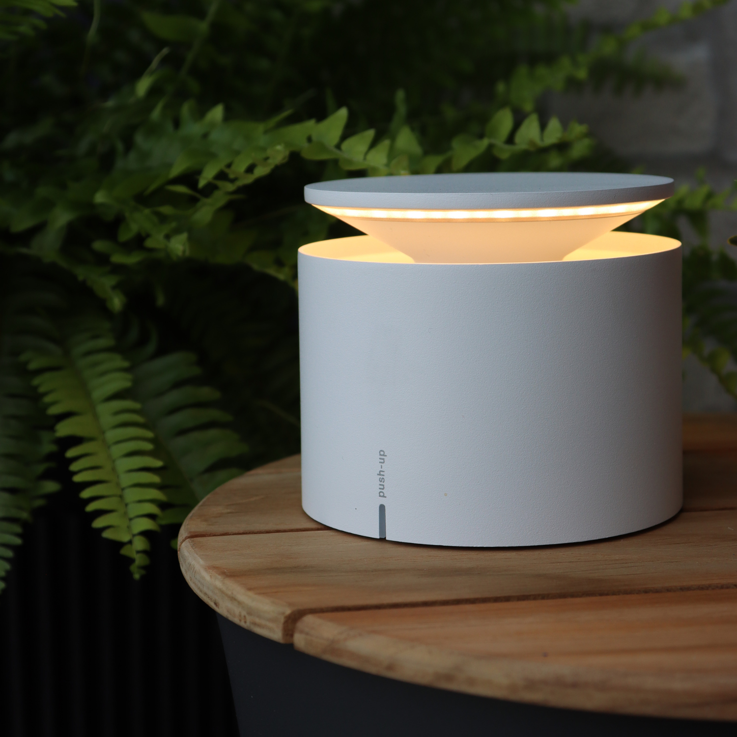 Push Up Pro Cordless Lamp