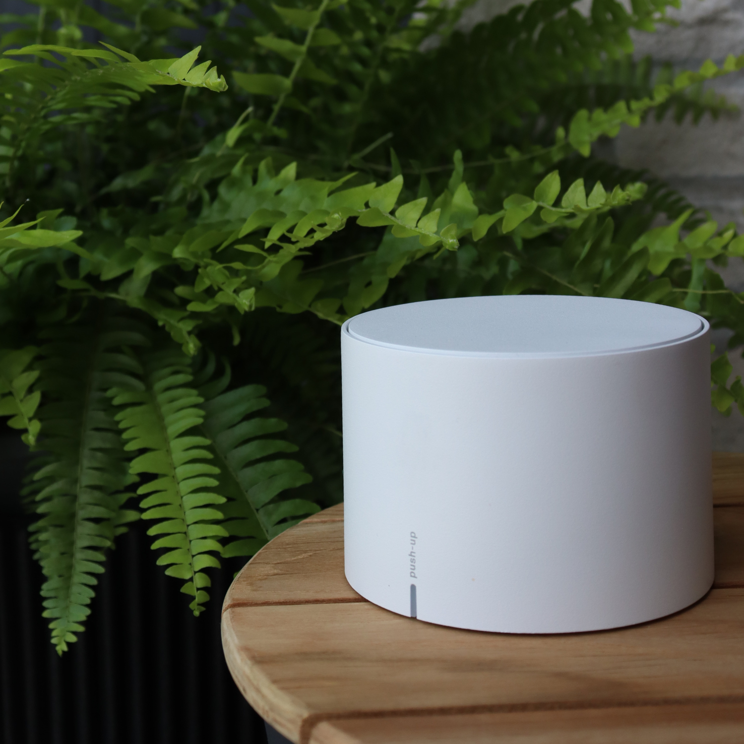 Push Up Pro Cordless Lamp