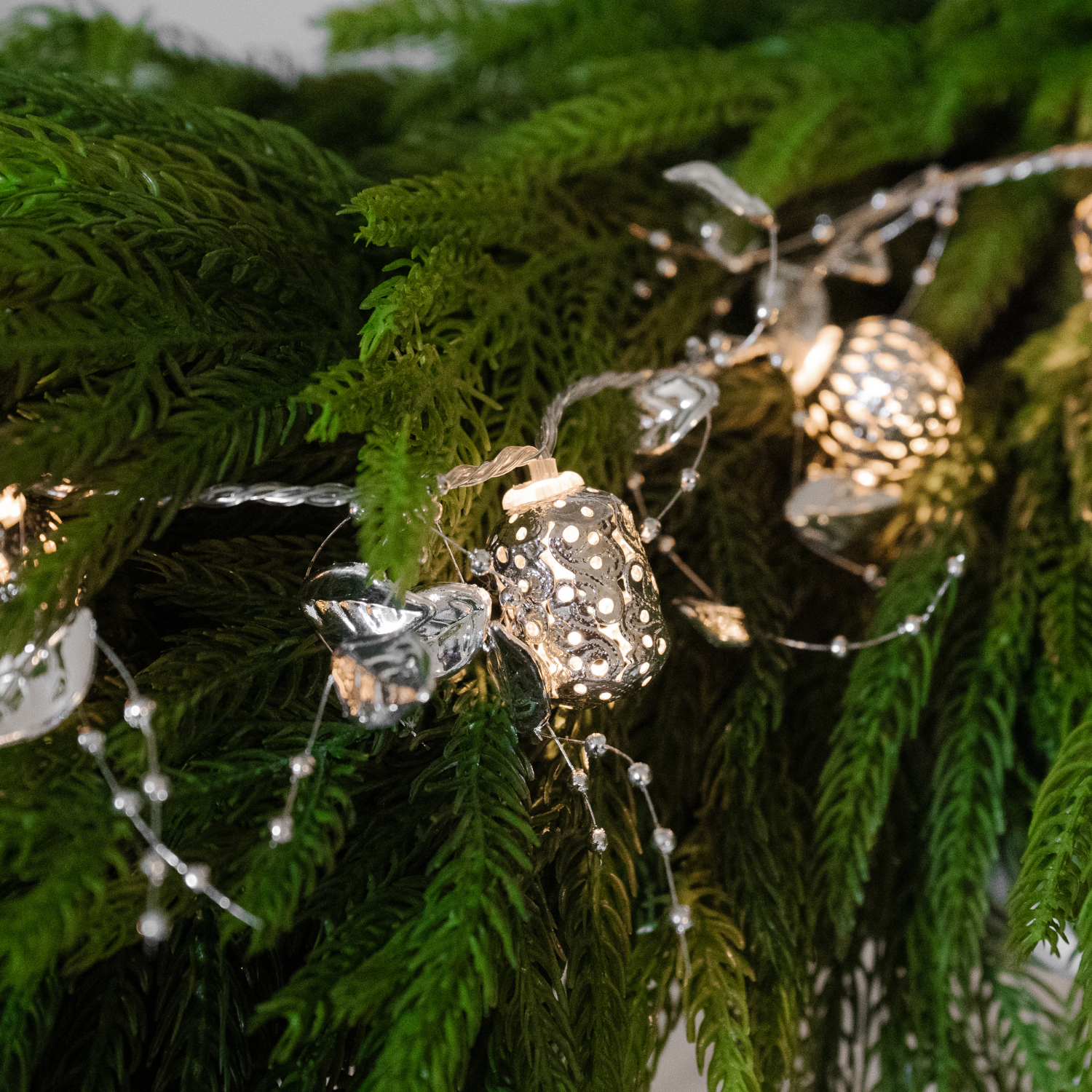 Ornament Indoor String Lights