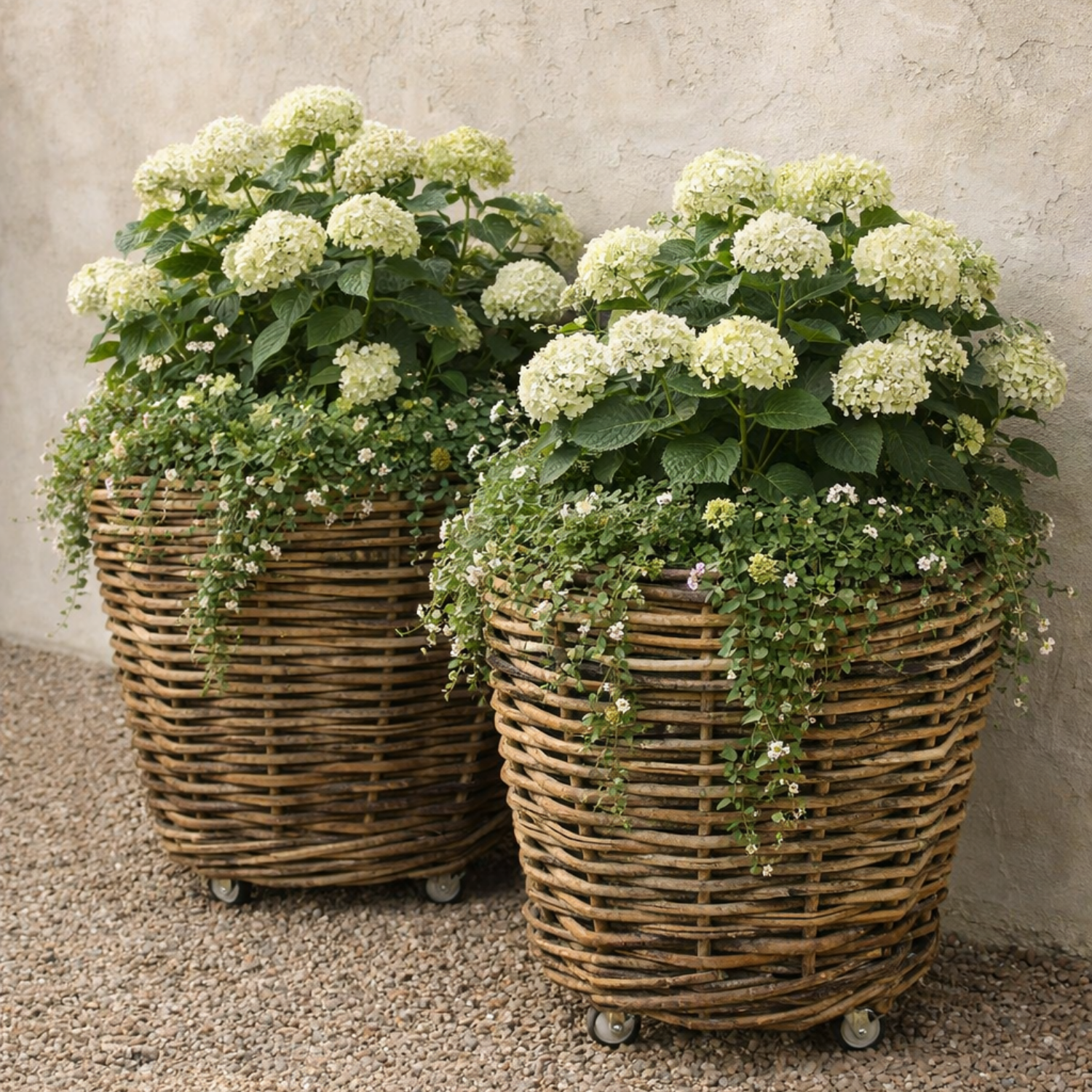 Sudbury Rattan Plant Baskets w/ Wheels