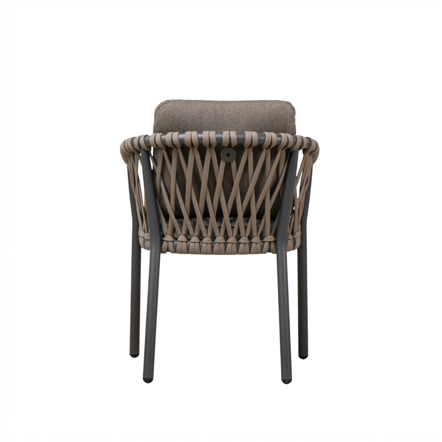 Bellvue Dining Arm Chair - Vita Brown