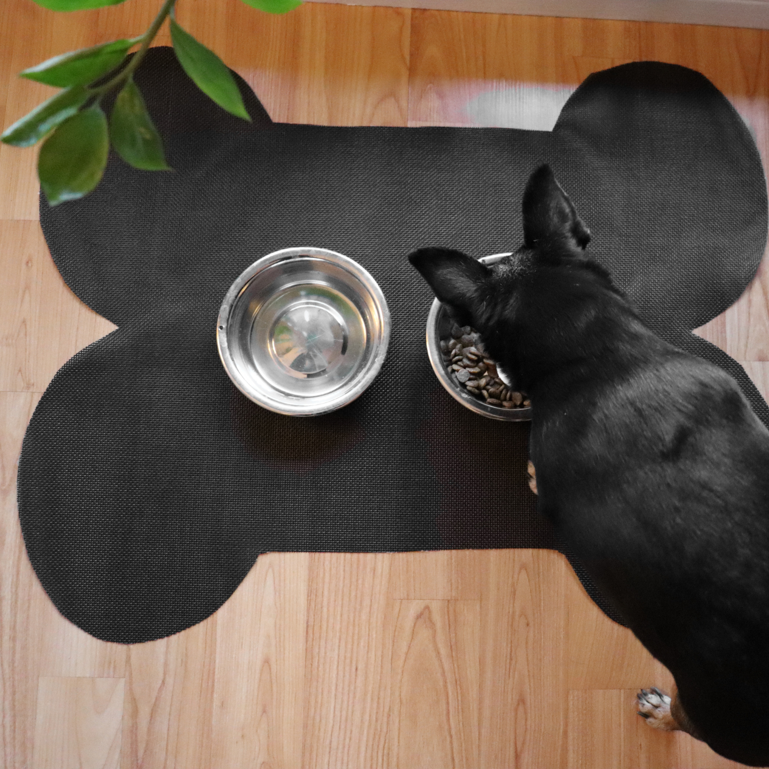 Black Dog Bone Pet Mat