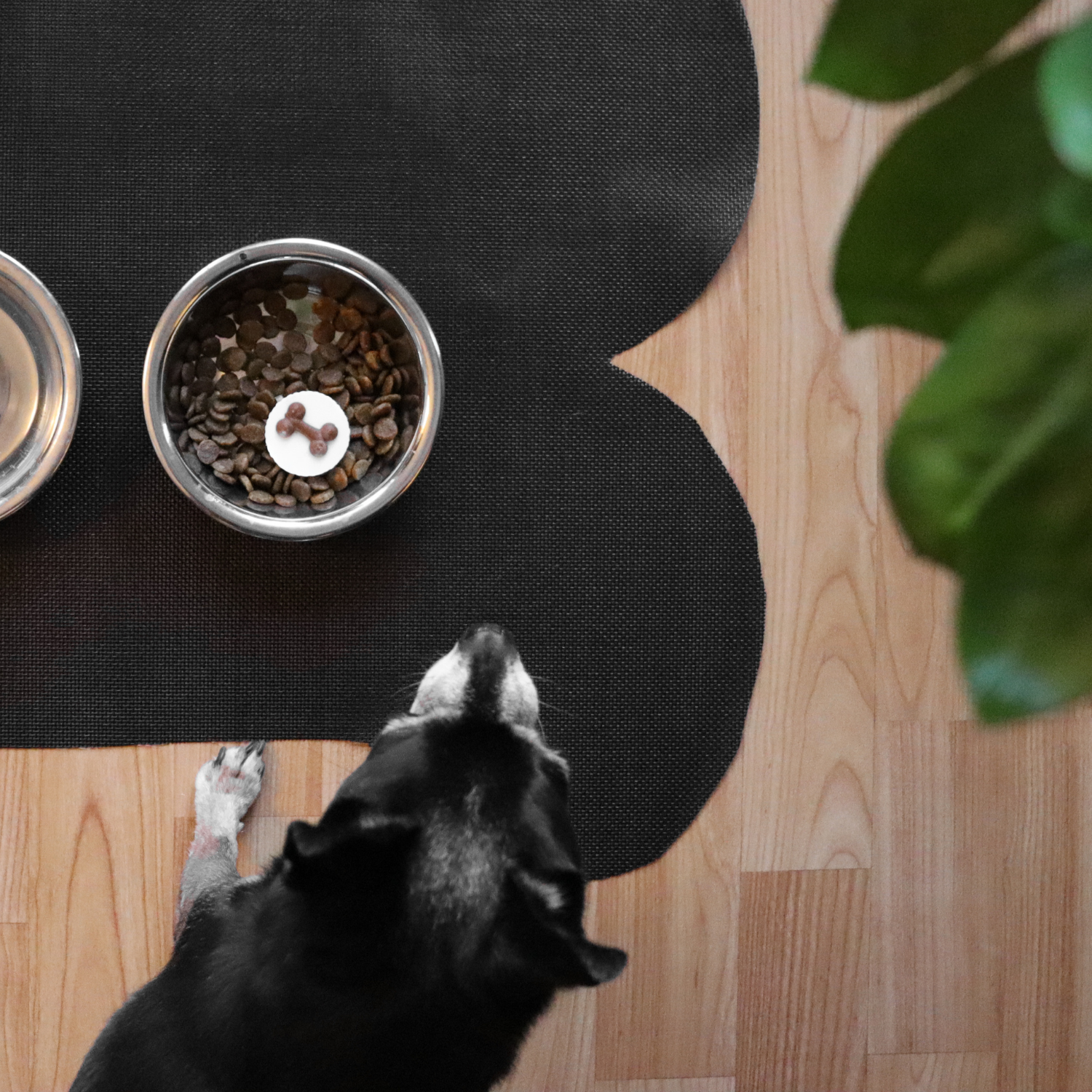 Black Dog Bone Pet Mat
