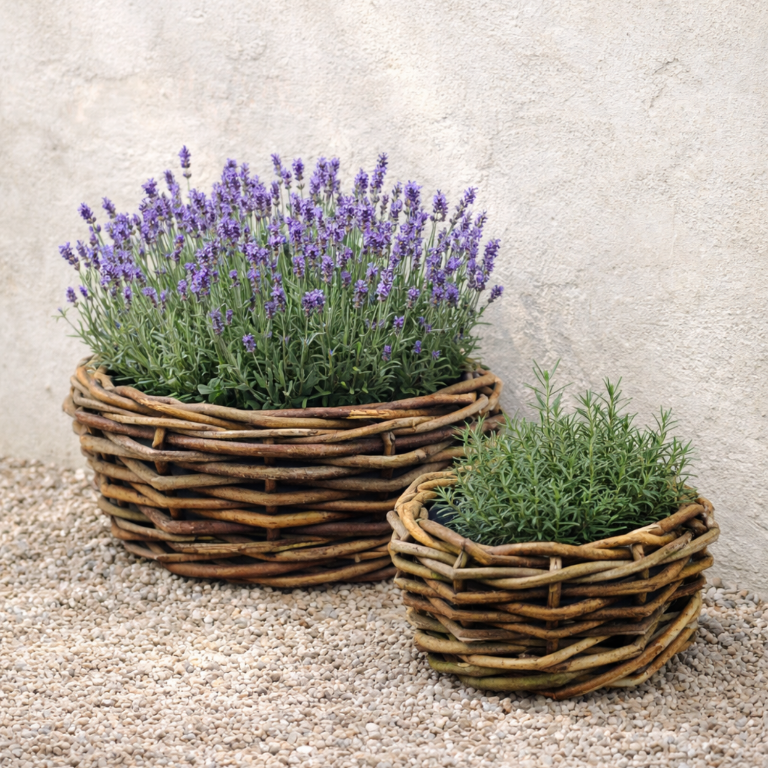 Sudbury Rattan Plant Baskets