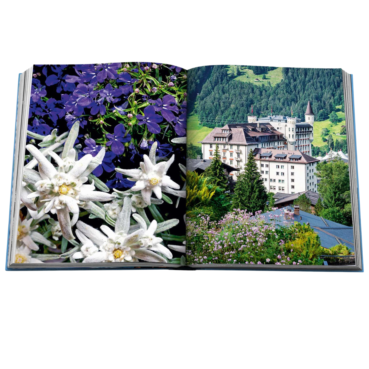 Assouline: Gstaad Glam Hard Cover Book