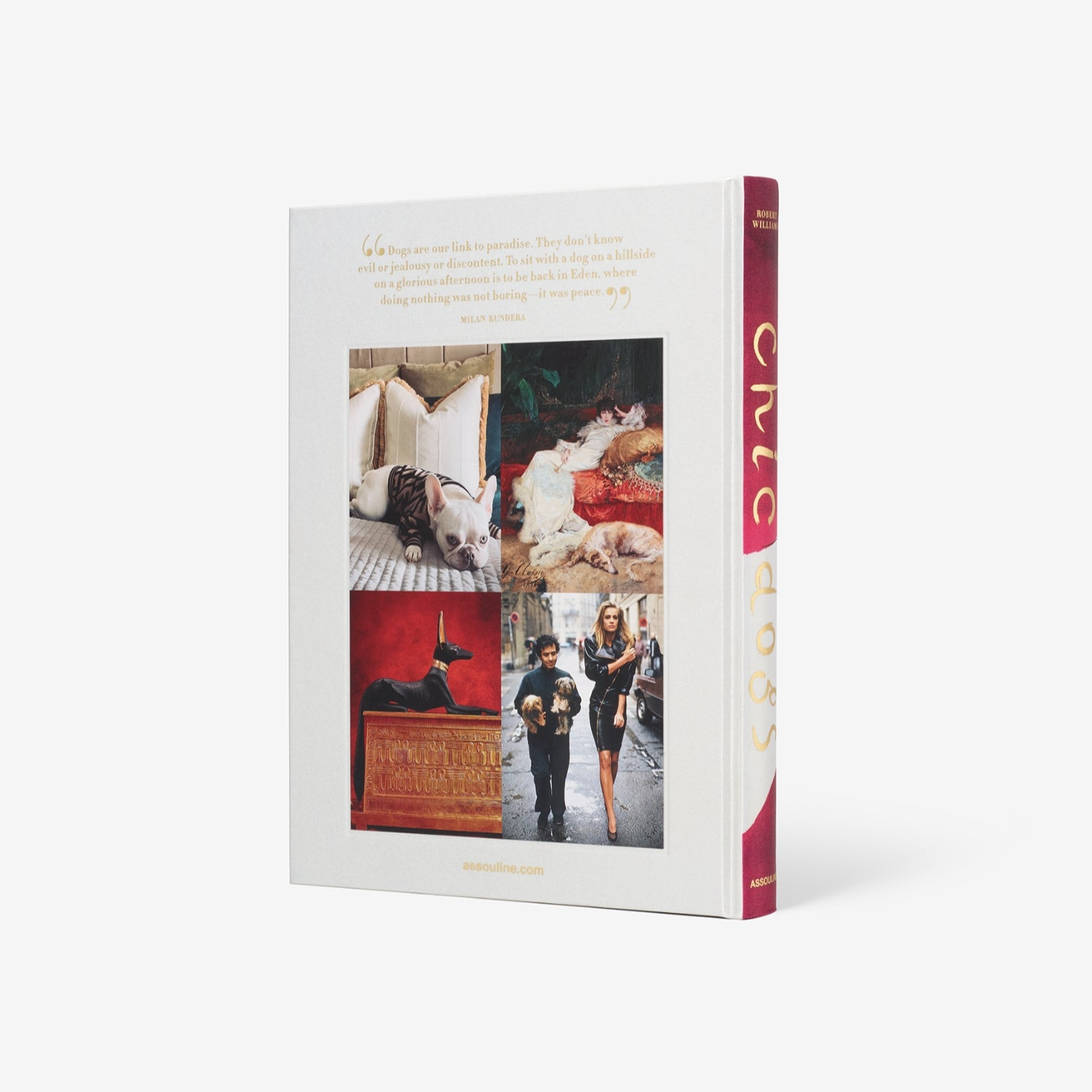 Assouline: Chic Dogs Hard Cover Book