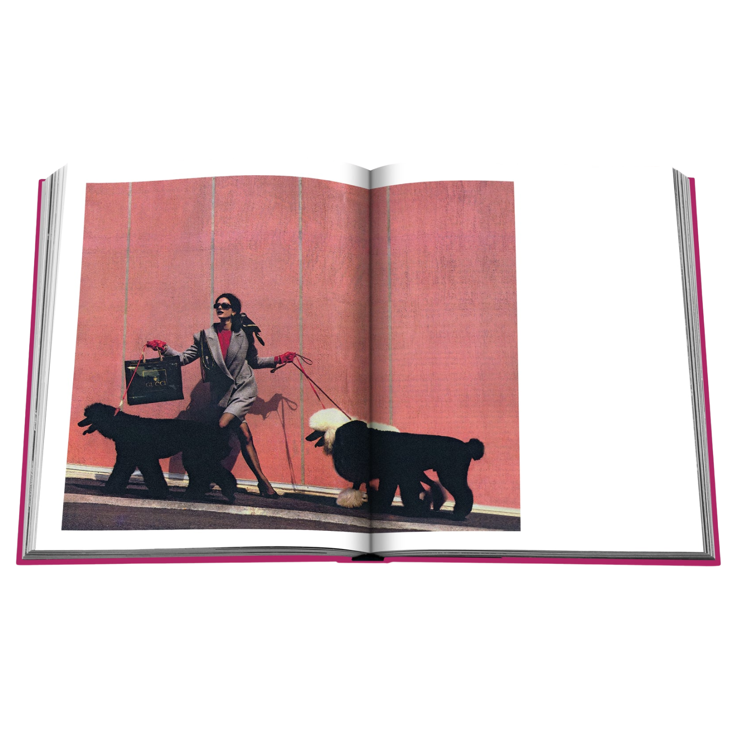 Assouline: Chic Dogs Hard Cover Book