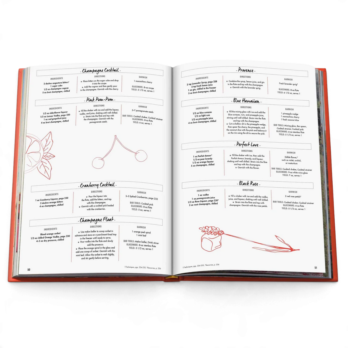 Assouline Cocktail Chameleon Hardcover Book