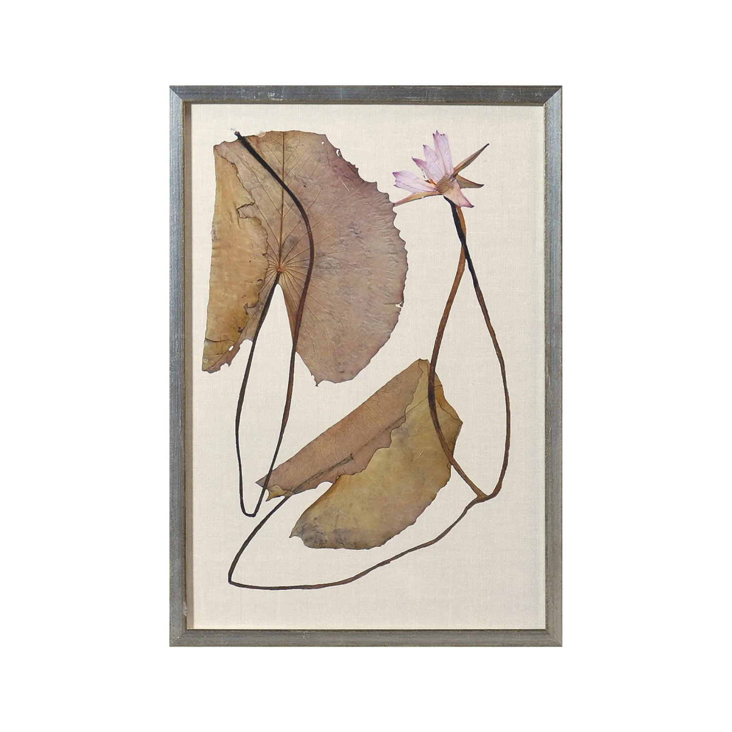 Pressed Lily Bloom II Framed Wall Art