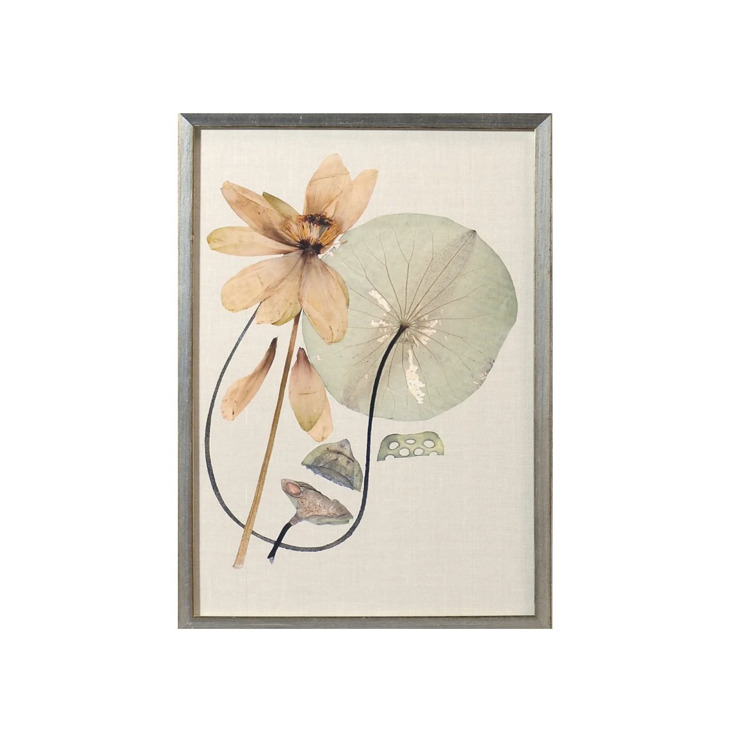 Pressed Lily Bloom VI Framed Wall Art