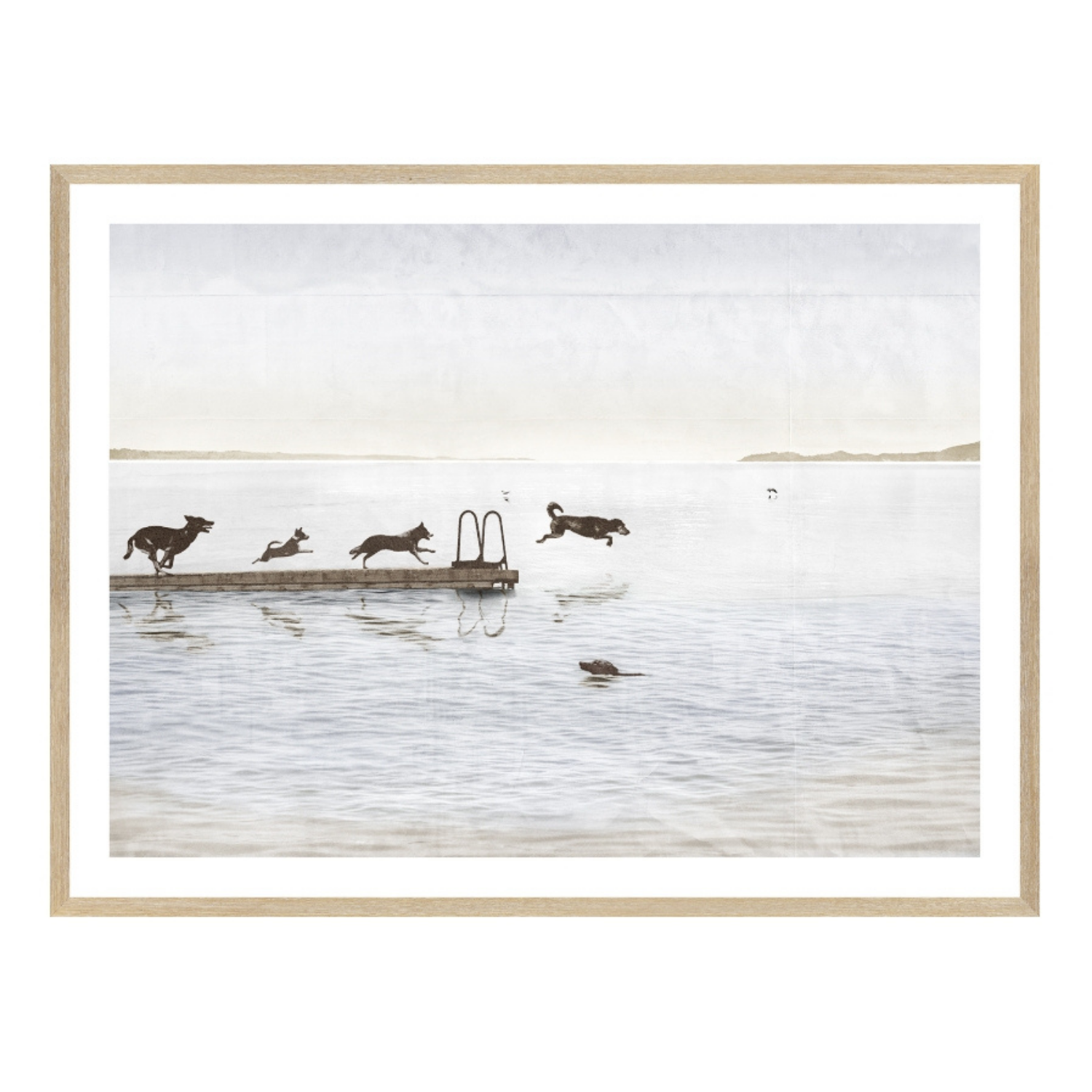 Dock Dogs Framed Wall Art