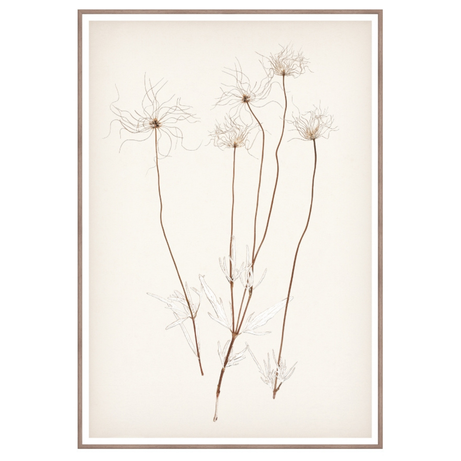 Bare Botanical III Framed Wall Art
