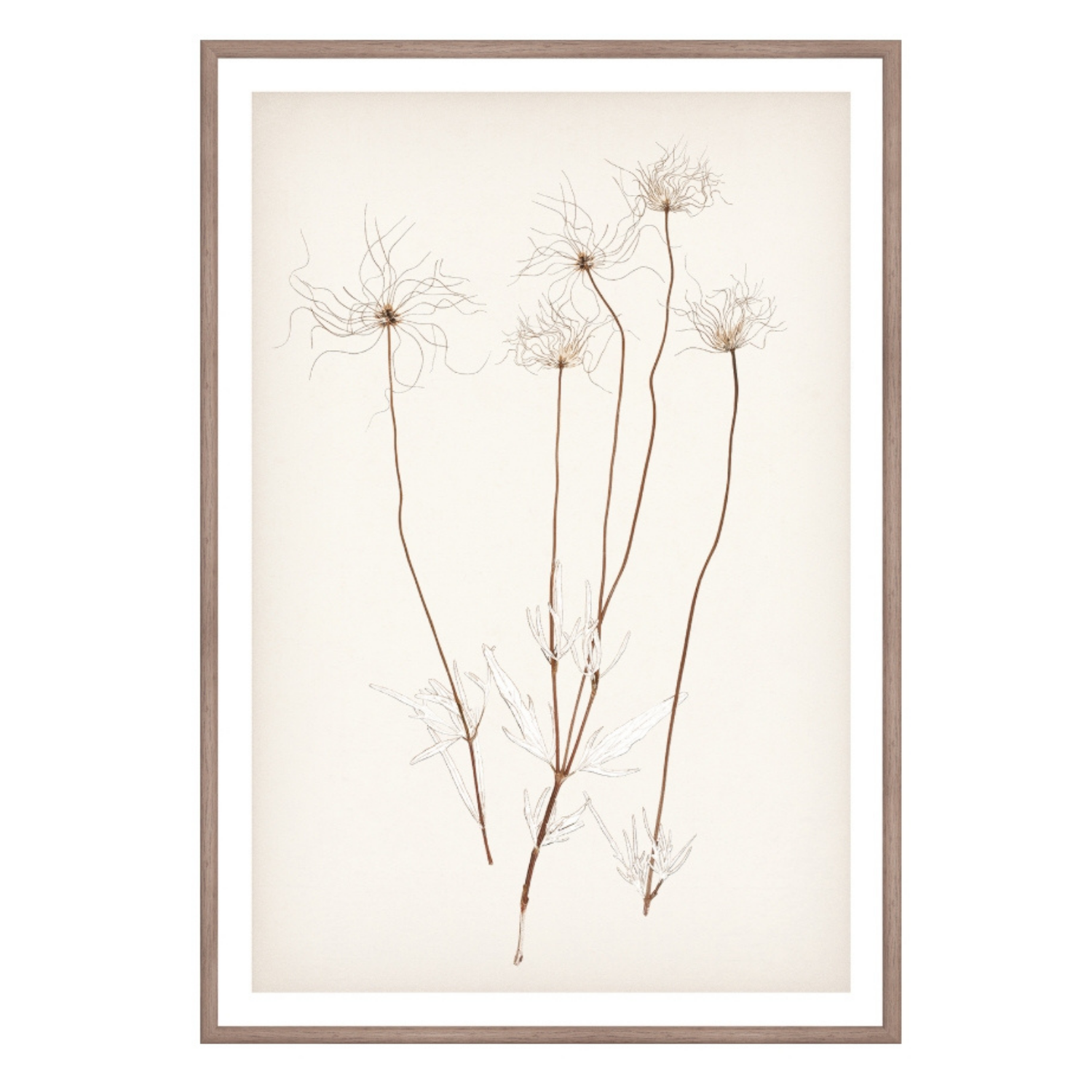 Bare Botanical III Framed Wall Art