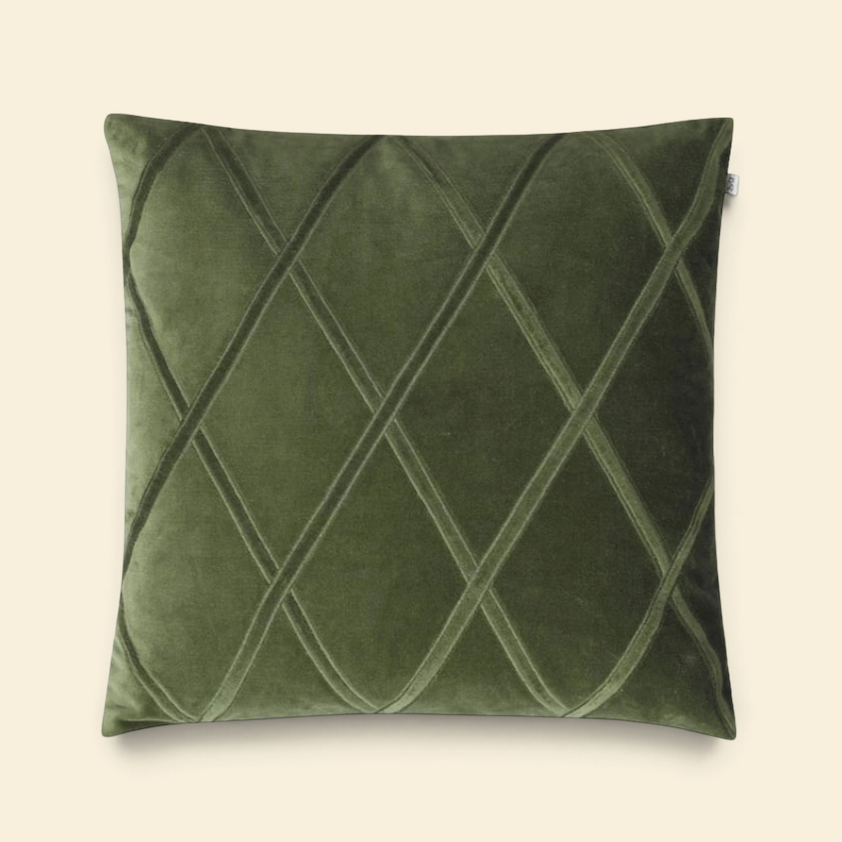 Everett Cactus Velvet Toss Pillow with Feather Insert