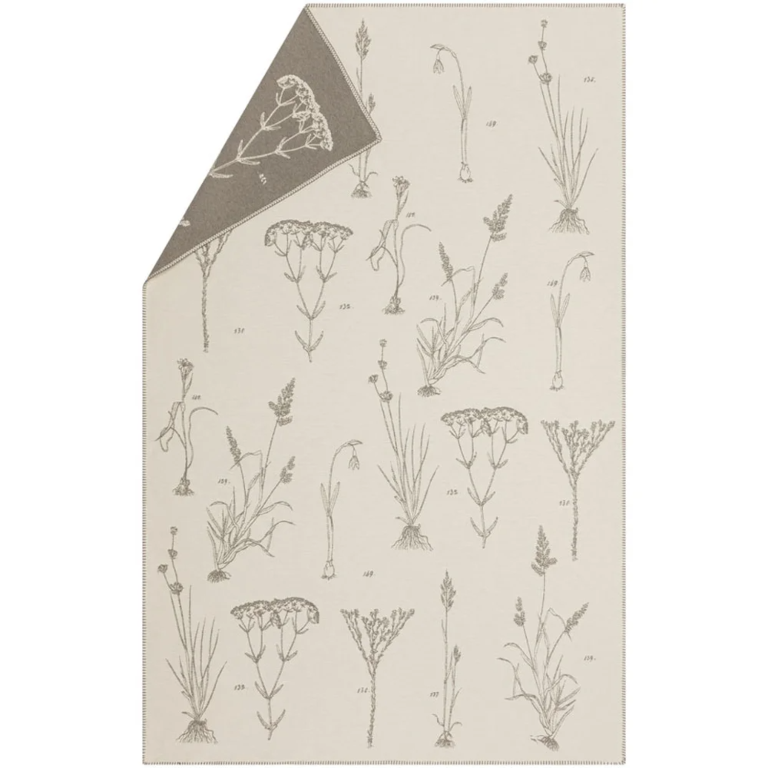 Wild Florals Off White Throw Blanket