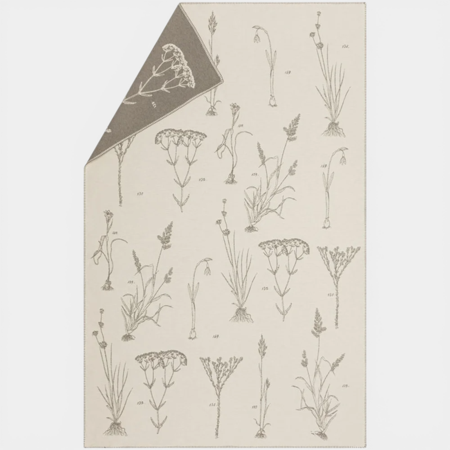 Wild Florals Off White Throw Blanket