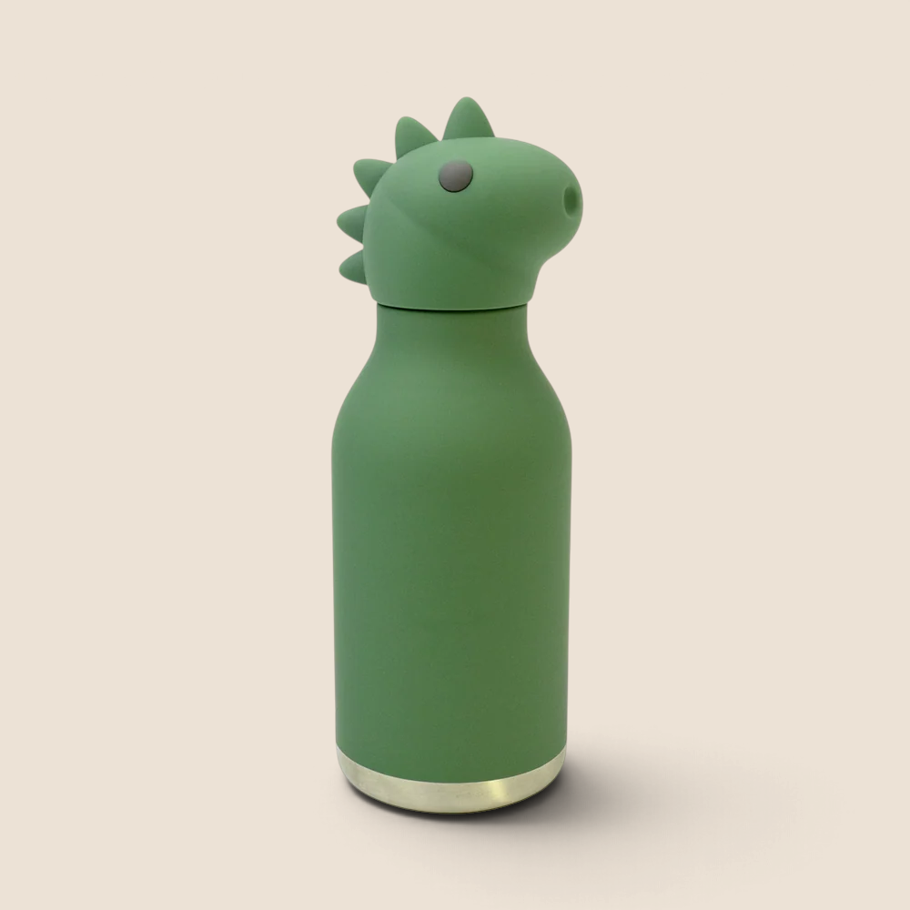 Buddy 16oz Water Bottle- Cillian Dinosaur