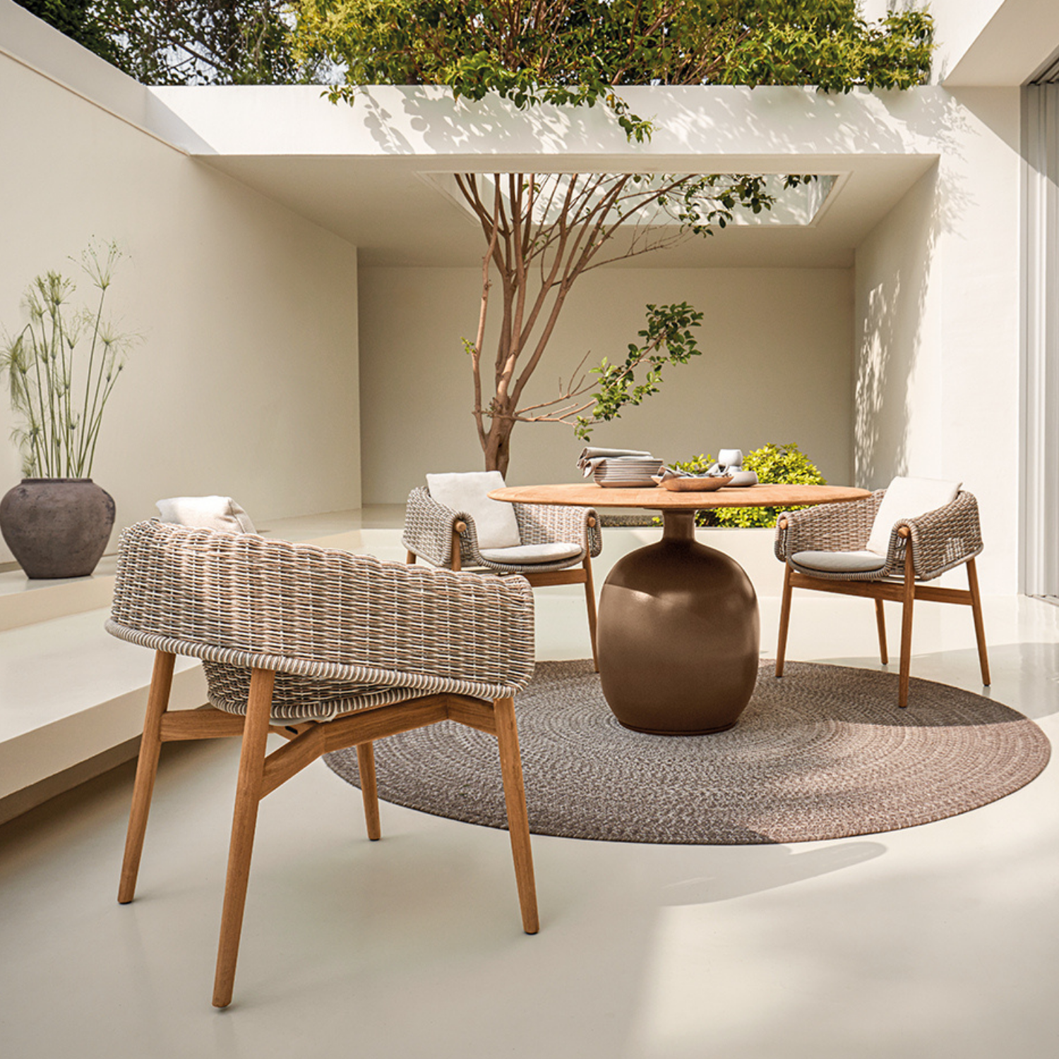 Gloster Wrap Dining Chair