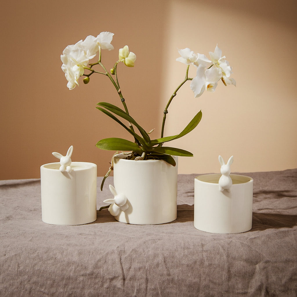 Peeking Bunny Pots (Set of 3)