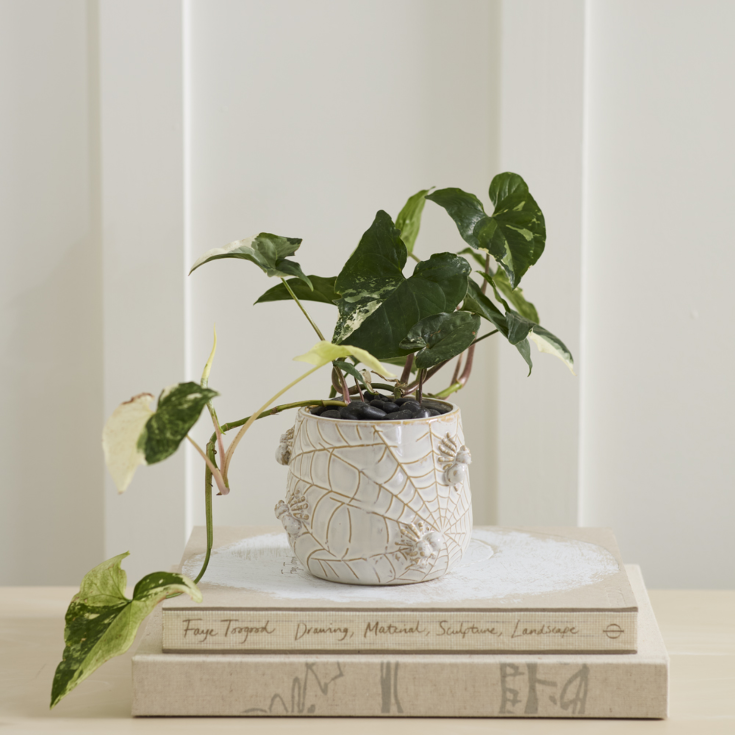 Spooky Spider Cream Ceramic Pot