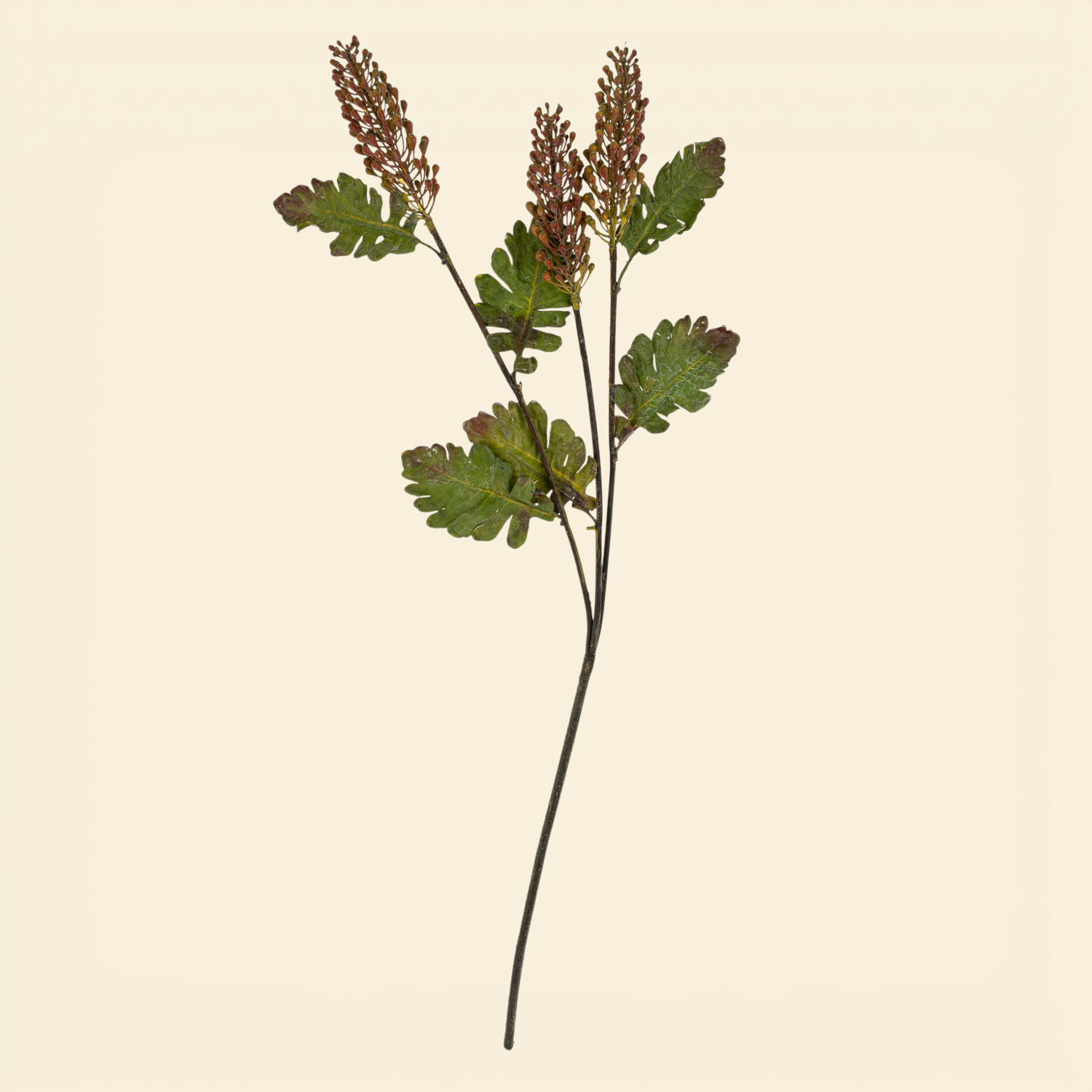 Artificial Dark Purple Astilbe Spray
