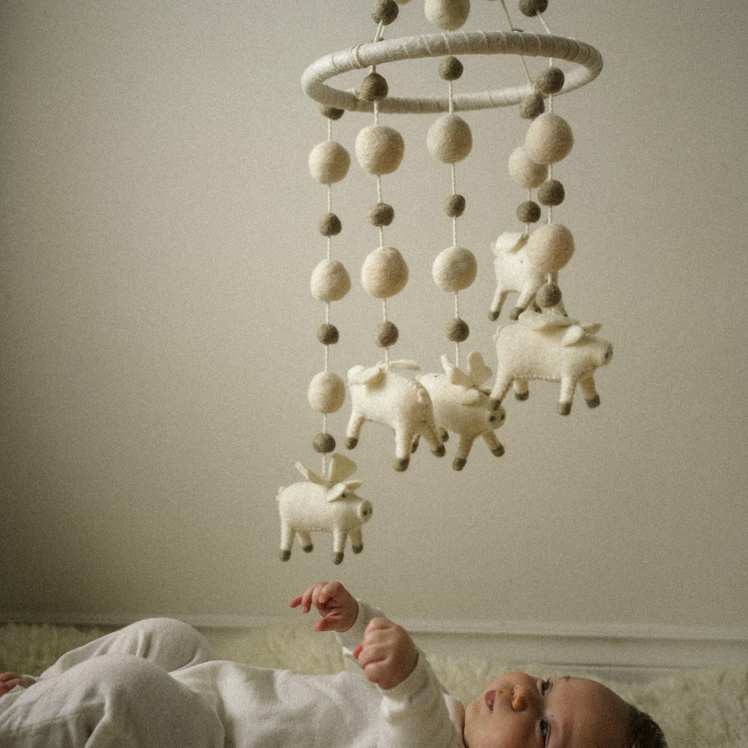 Floating Felt Pig Mobile