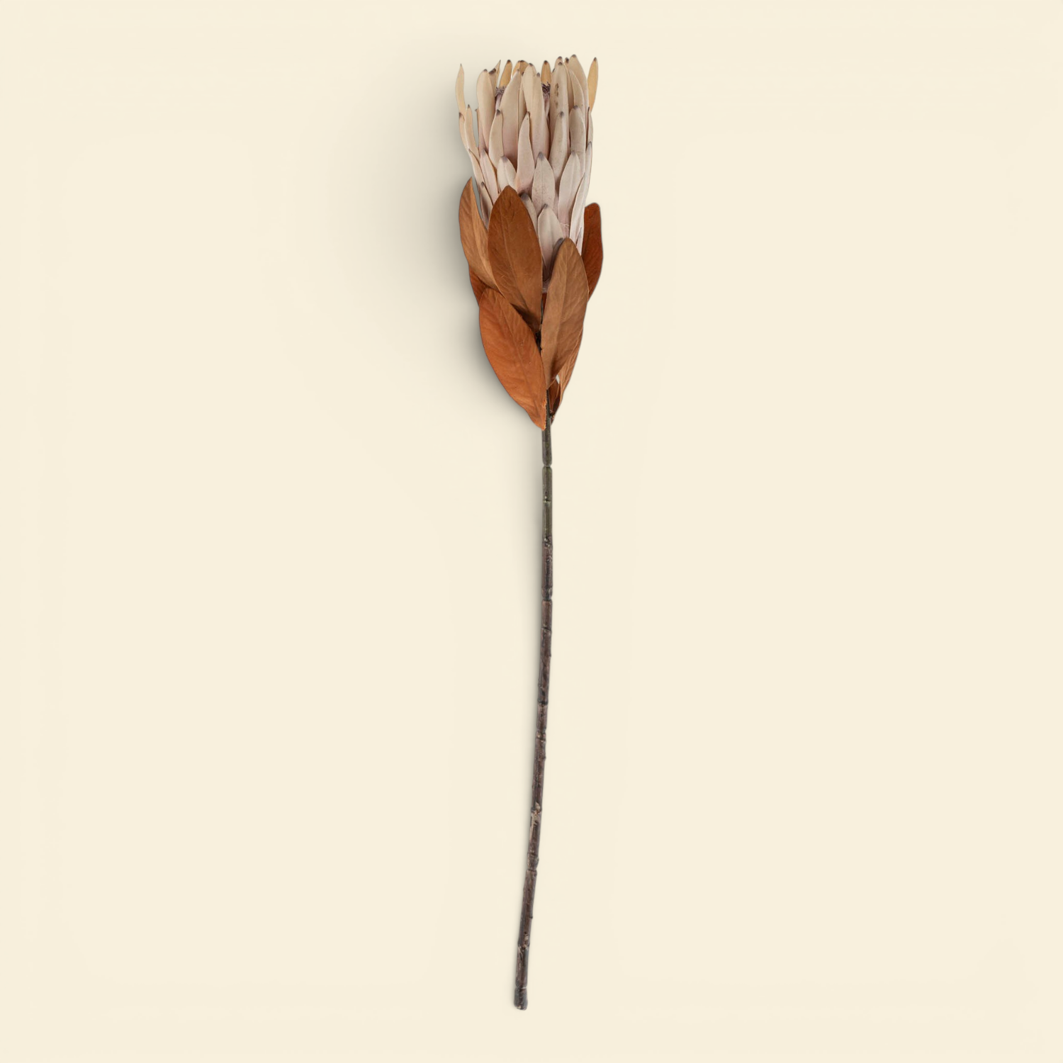 Artificial Protea Sprig