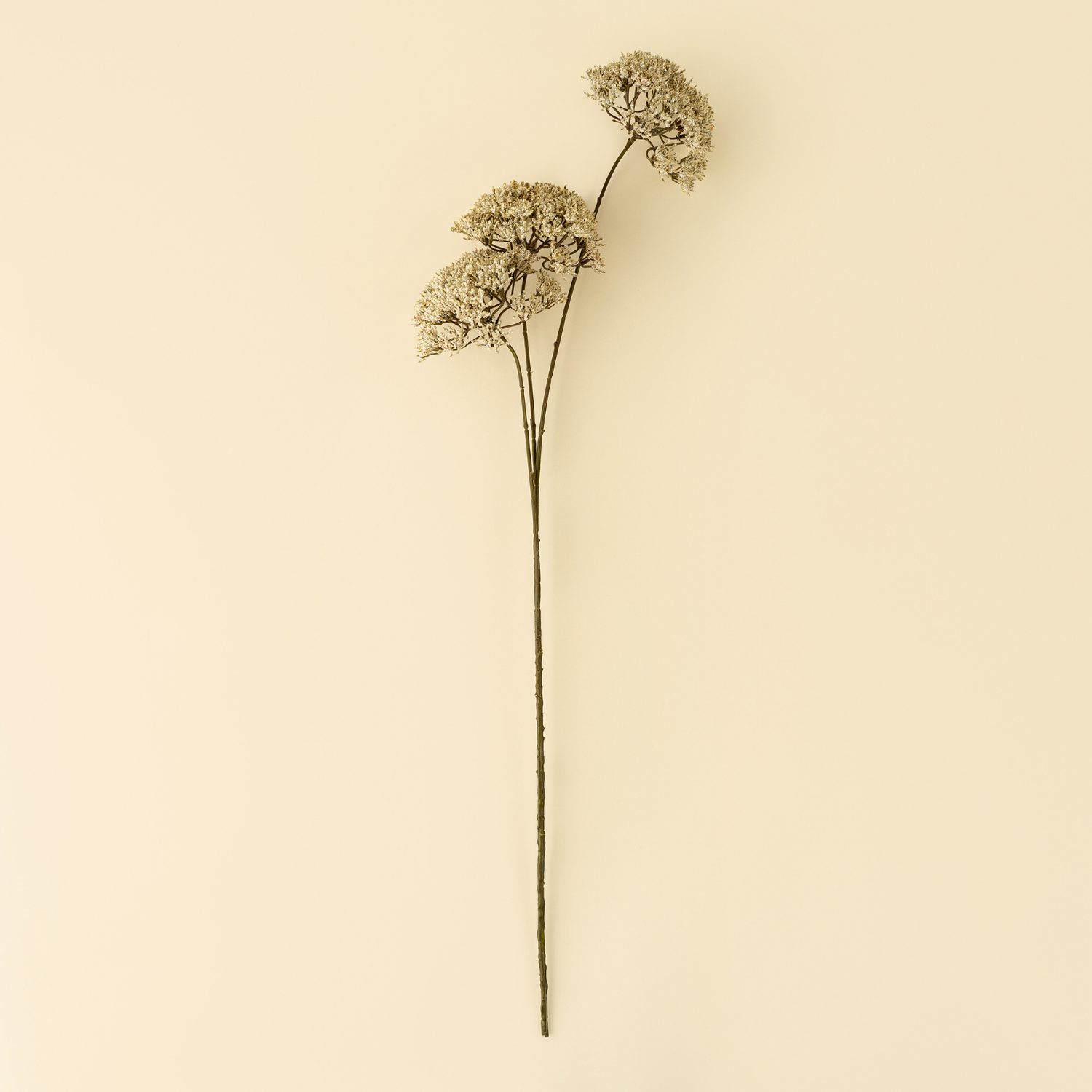 Artificial Anne Lace Stem