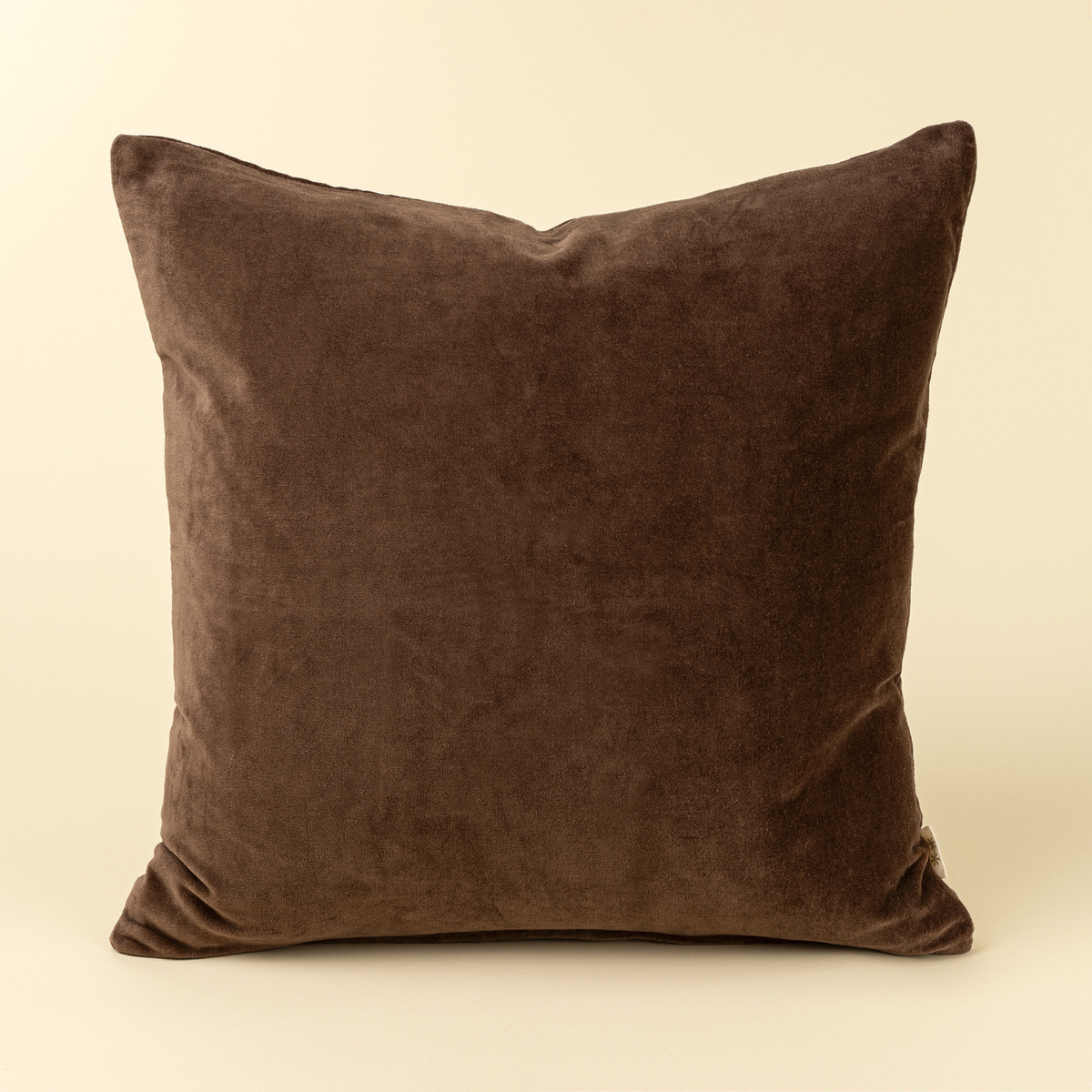 Velvet Clove Toss Pillow