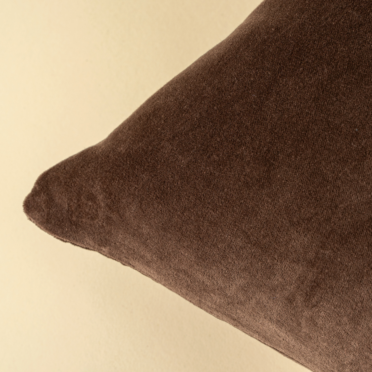 Velvet Clove Toss Pillow