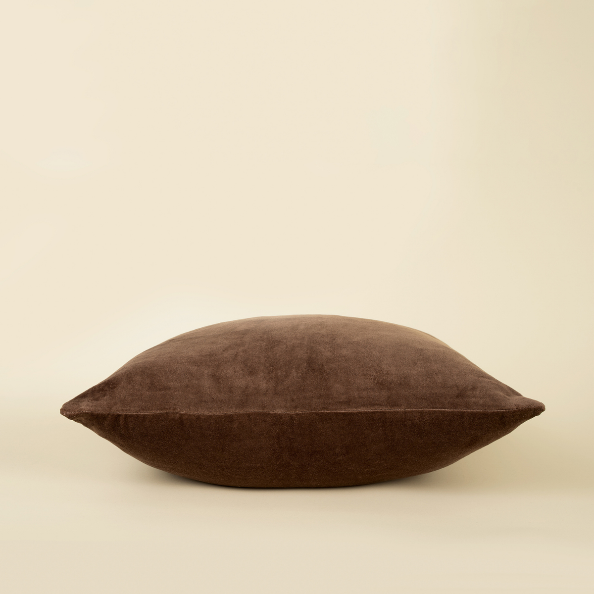 Velvet Clove Toss Pillow