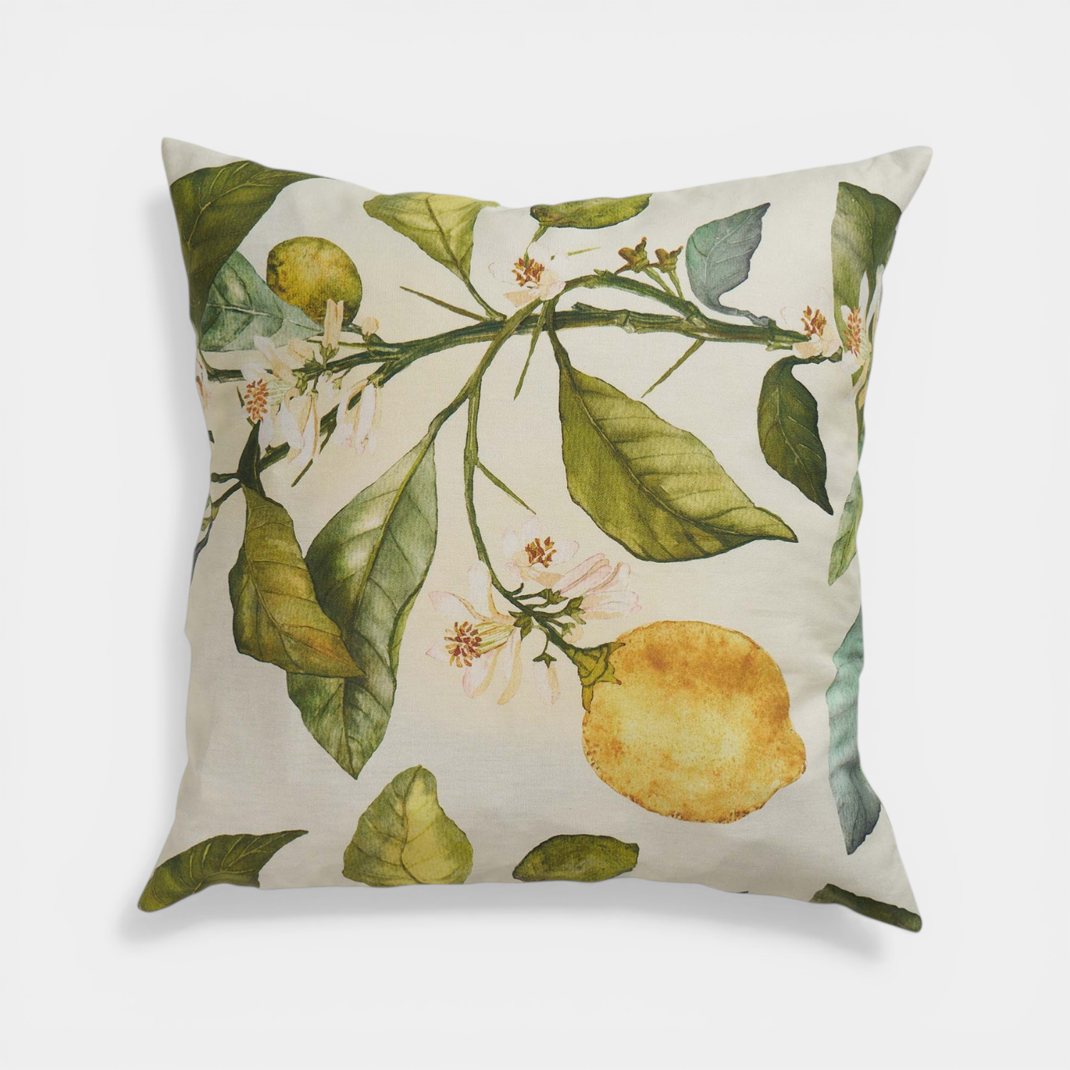 Breezy Citrus Toss Pillow