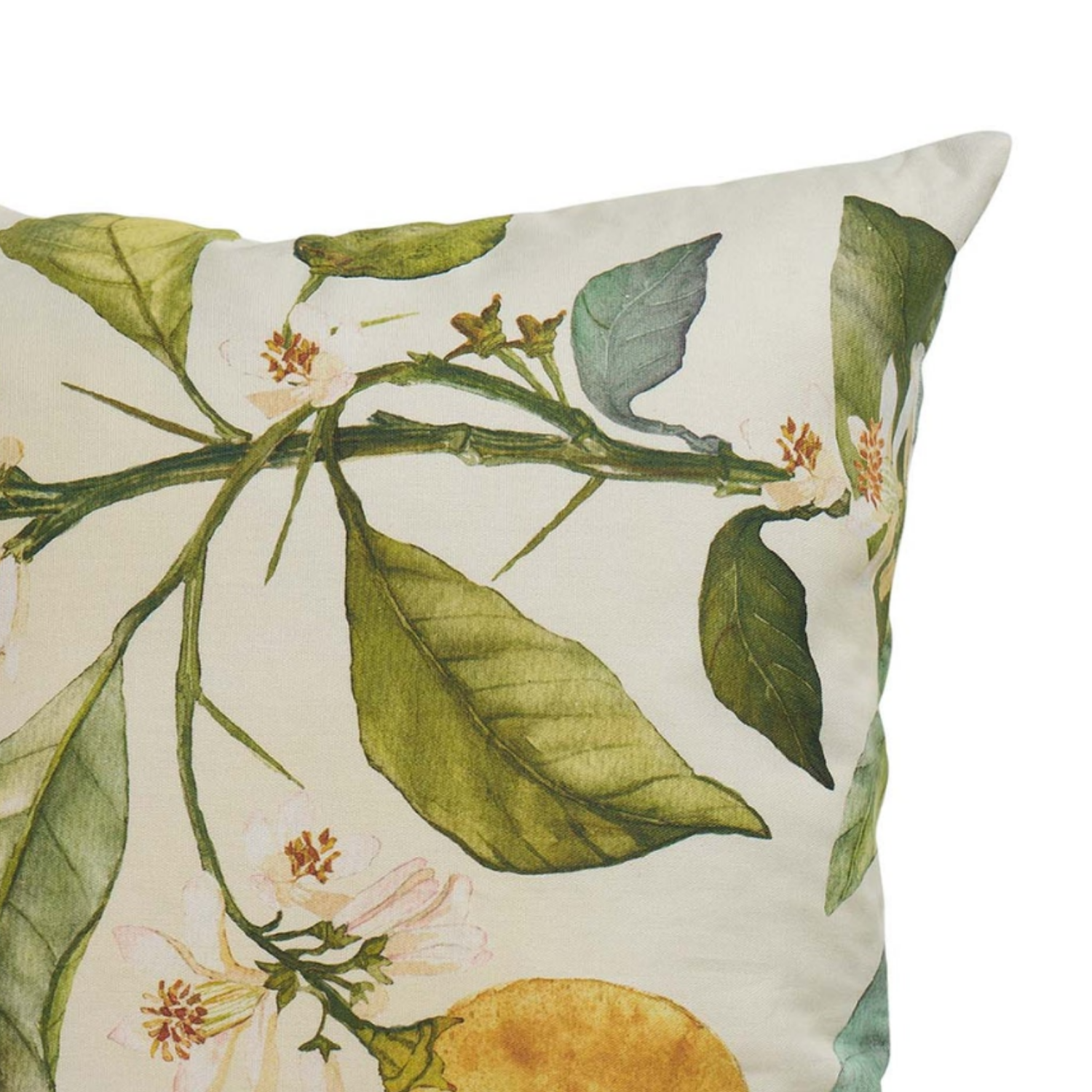 Breezy Citrus Toss Pillow