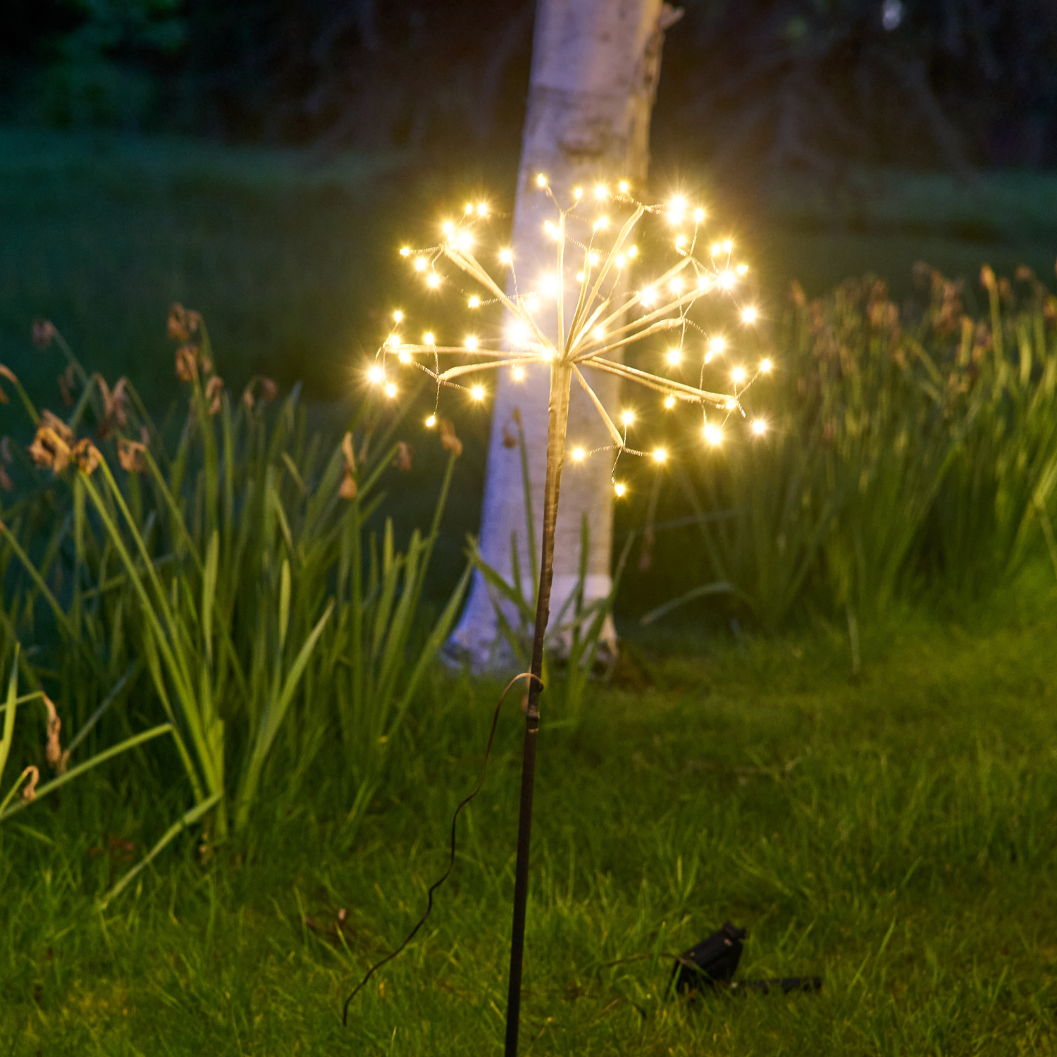 Garden Burst Solar Light - Bronze