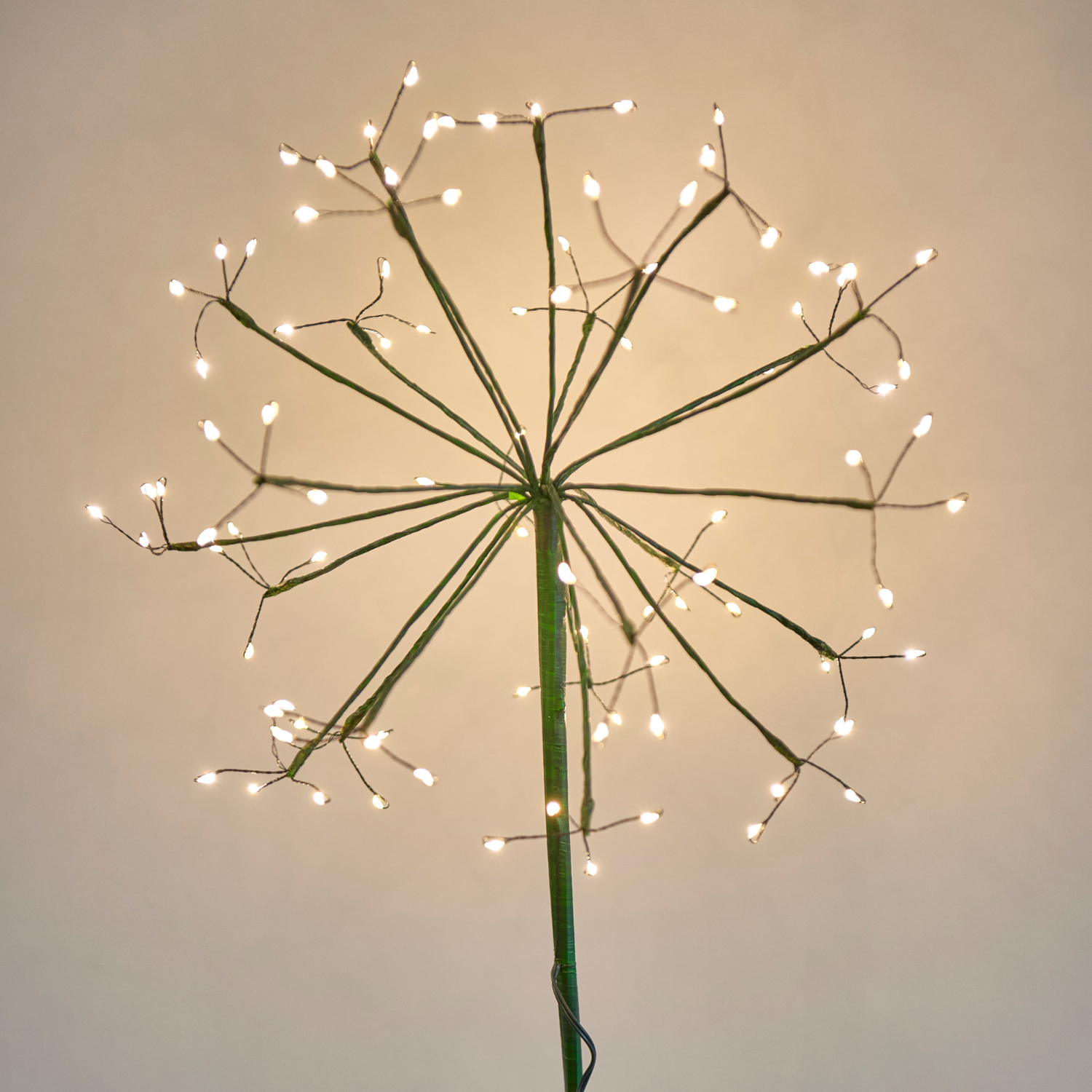 Garden Burst Solar Light - Green