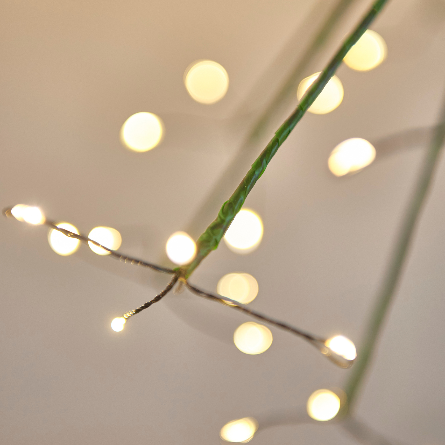 Garden Burst Solar Light - Green