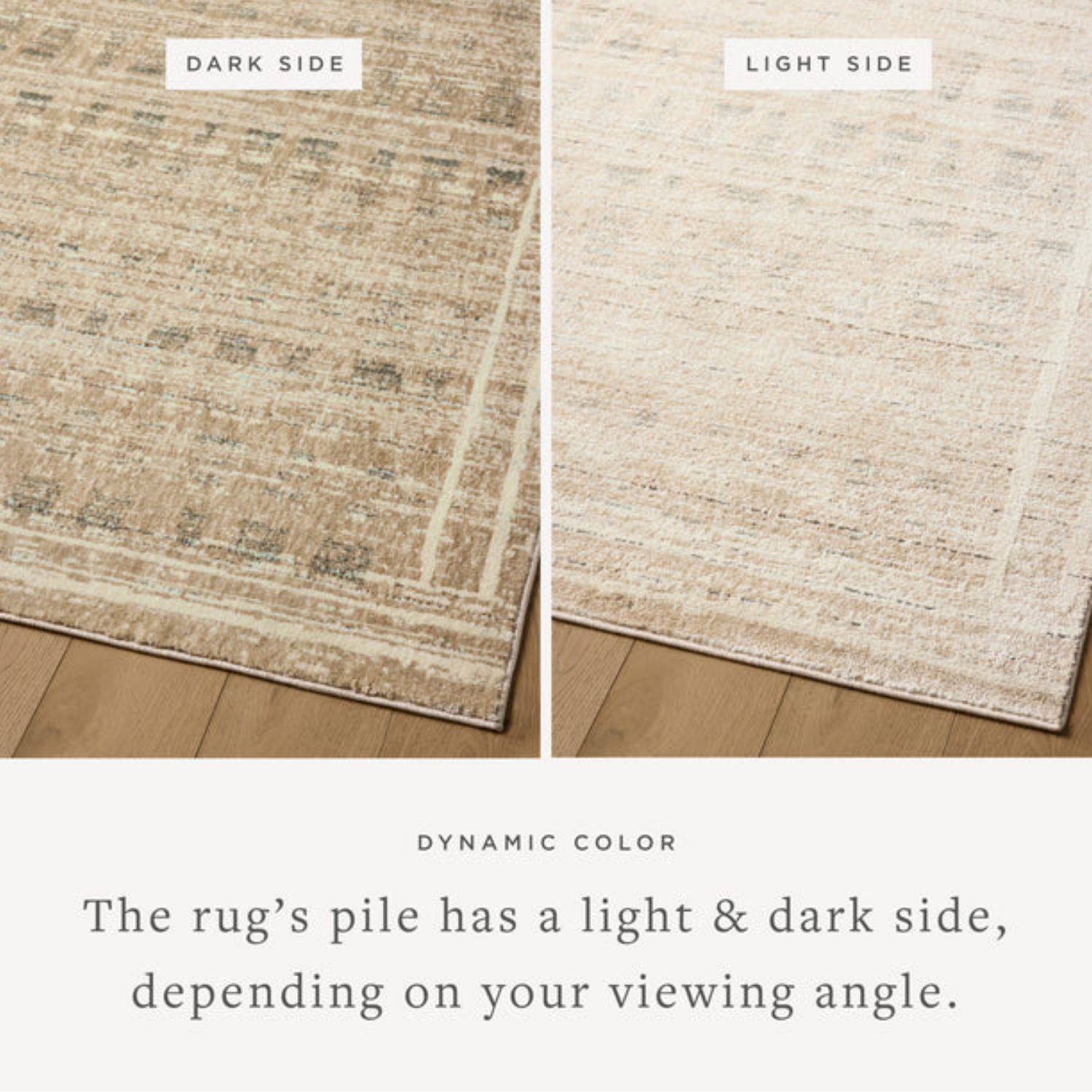 Jeremiah Brent x Loloi Bleecker Khaki/Natural Rug