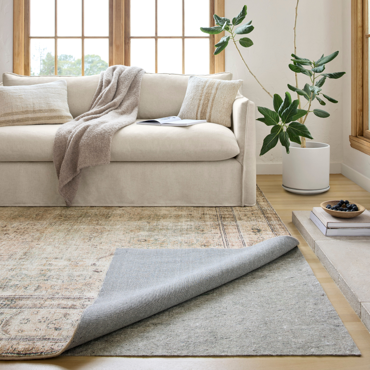 Loloi 1/8" Cushion Grip All Surface Indoor Rug Pad