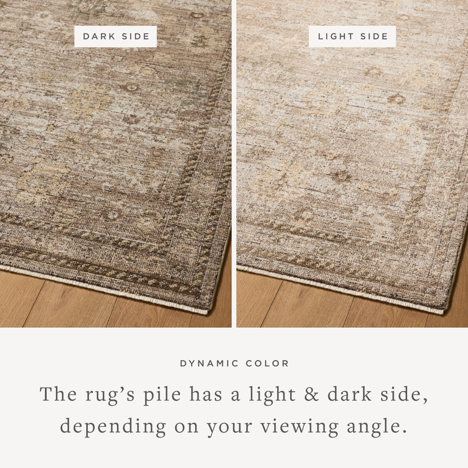 Loloi Priscilla Sand/Earth Indoor Rug