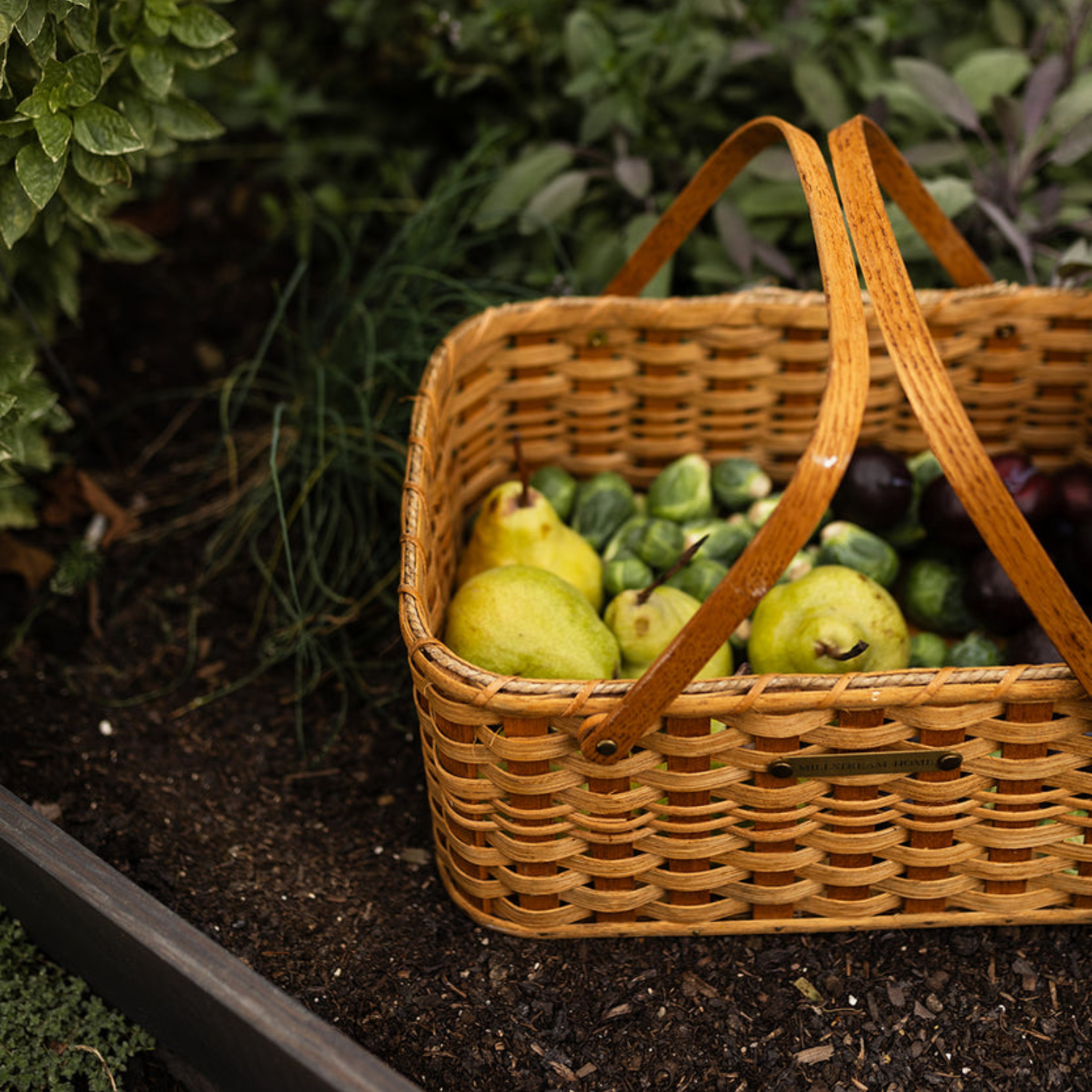 Woven Natural Cove Gardening Basket