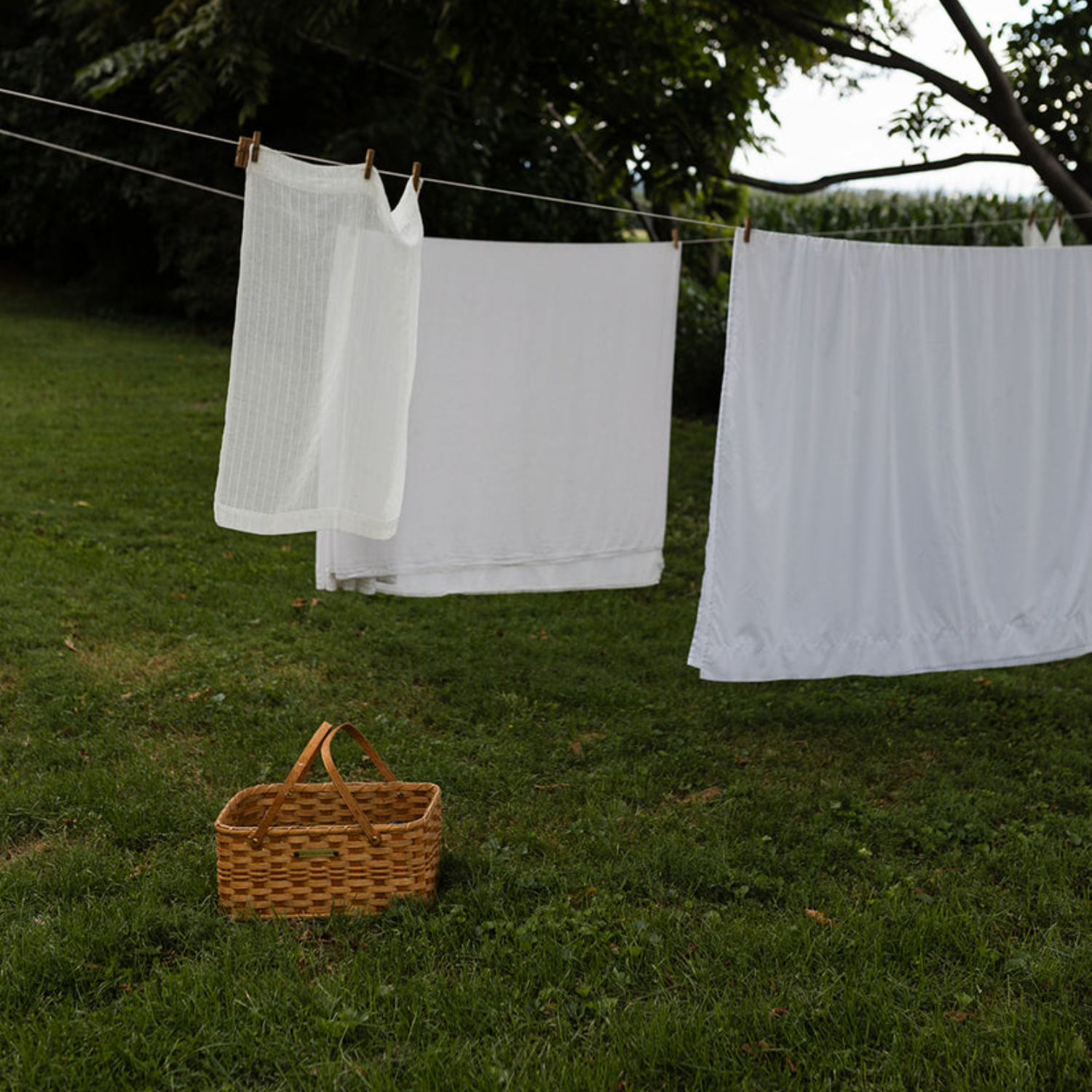 Woven Natural Cove Gardening Basket