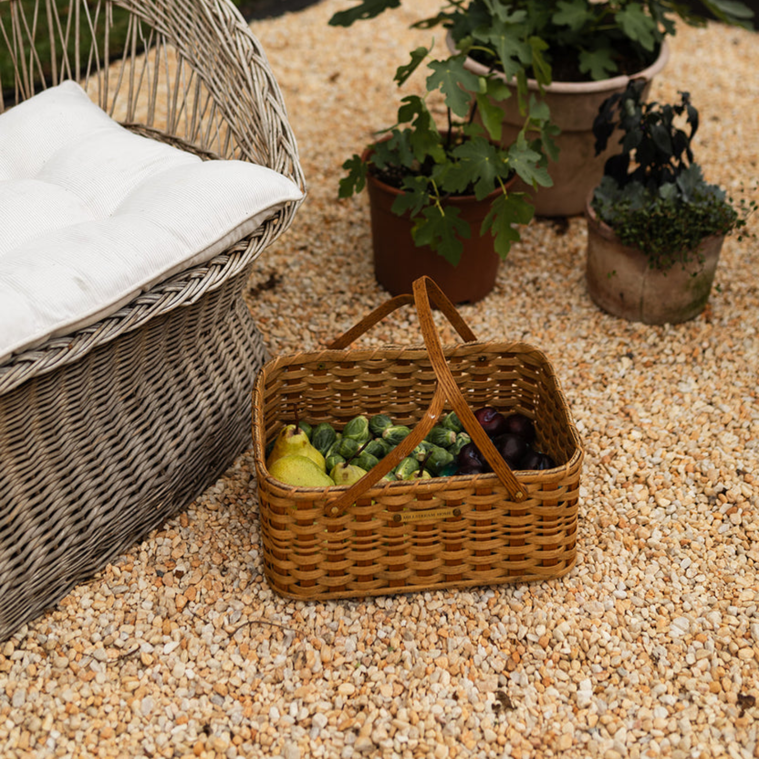 Woven Natural Cove Gardening Basket