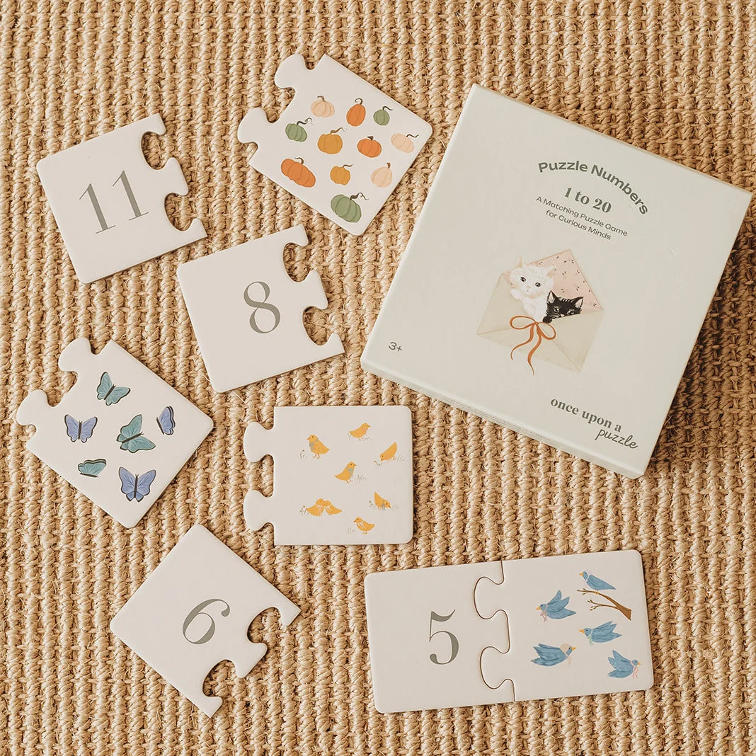Number 1-20 Curious Counters Kids Puzzle