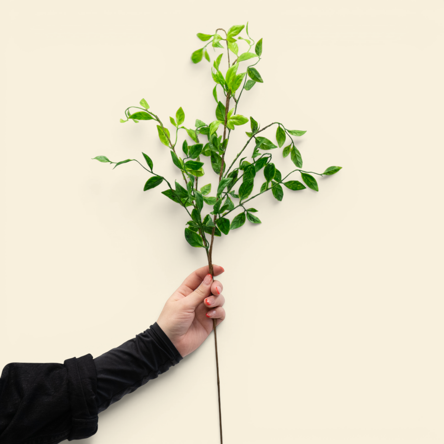 Artificial Nandina Stem