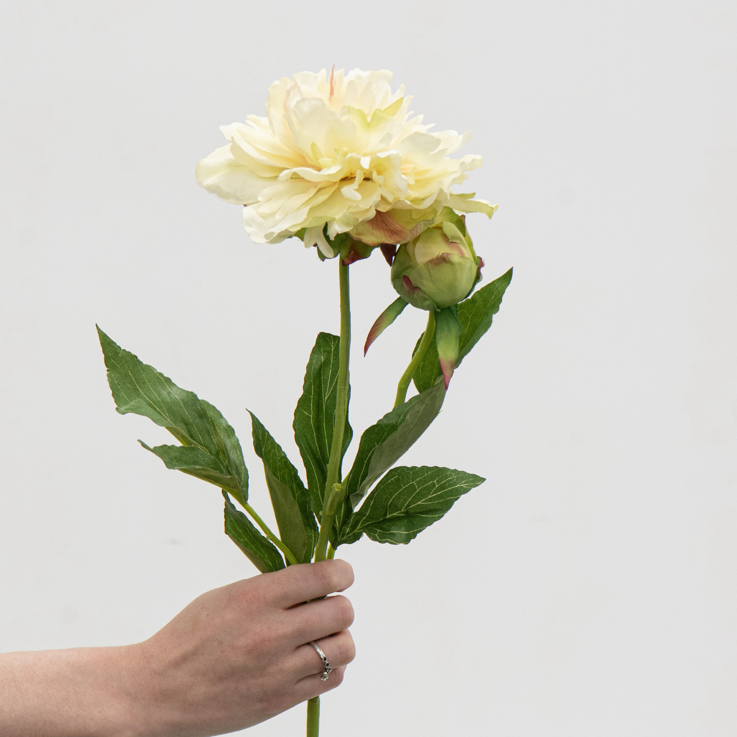 Artificial Peony Spray - Cream/Green