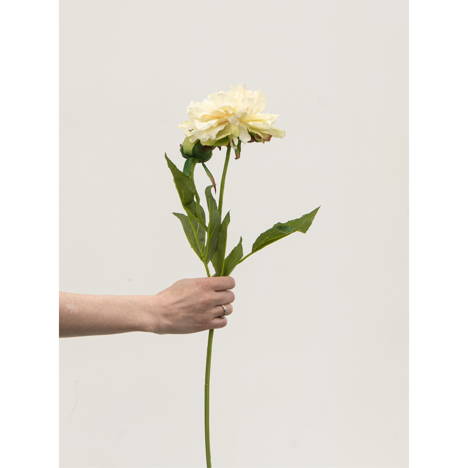 Artificial Peony Spray - Cream/Green