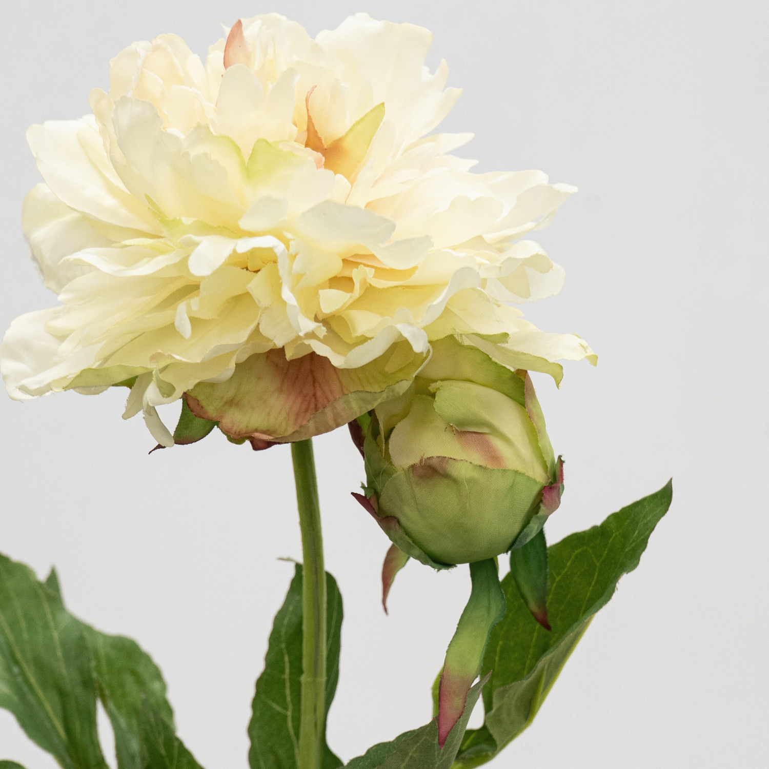 Artificial Peony Spray - Cream/Green