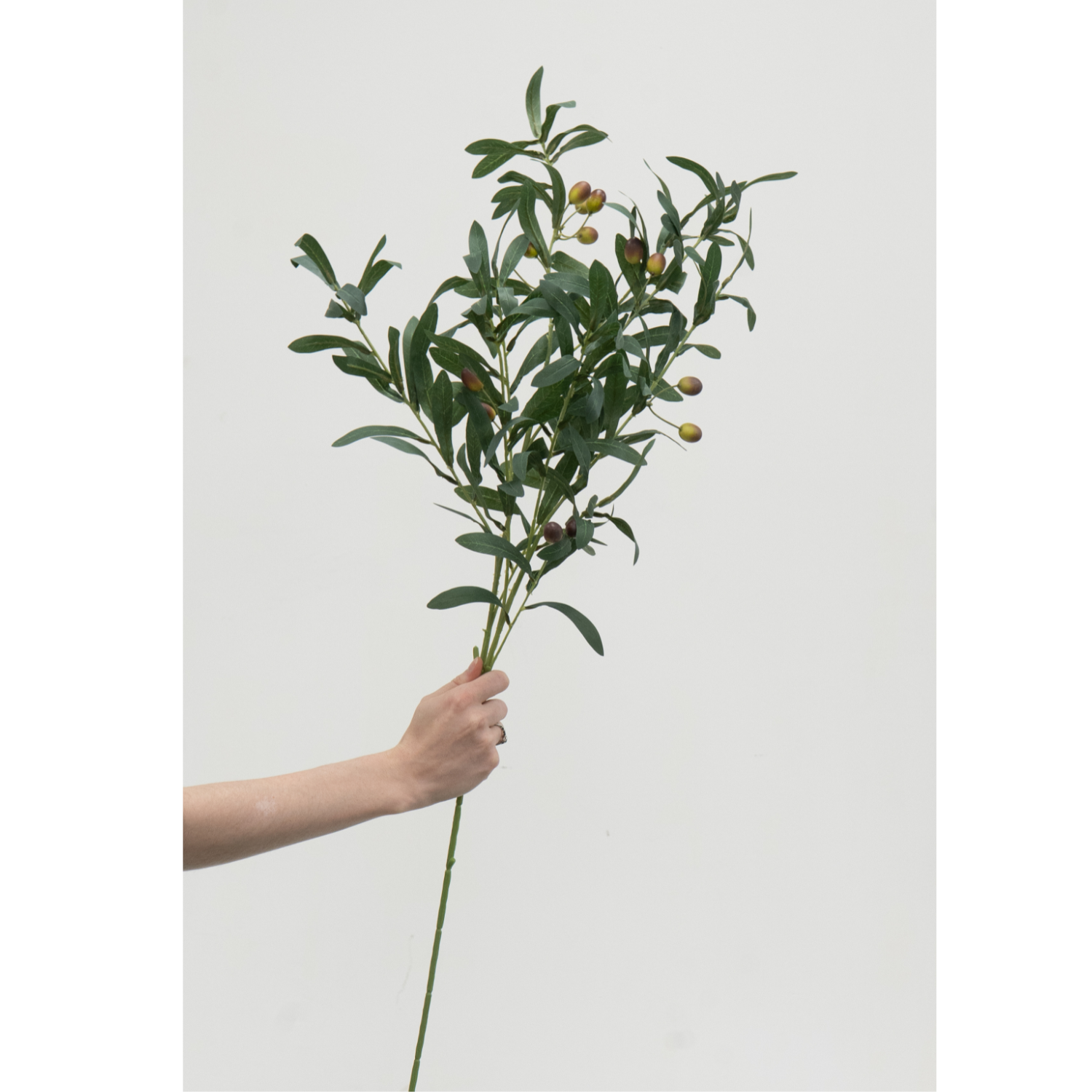 Artificial Olive Spray