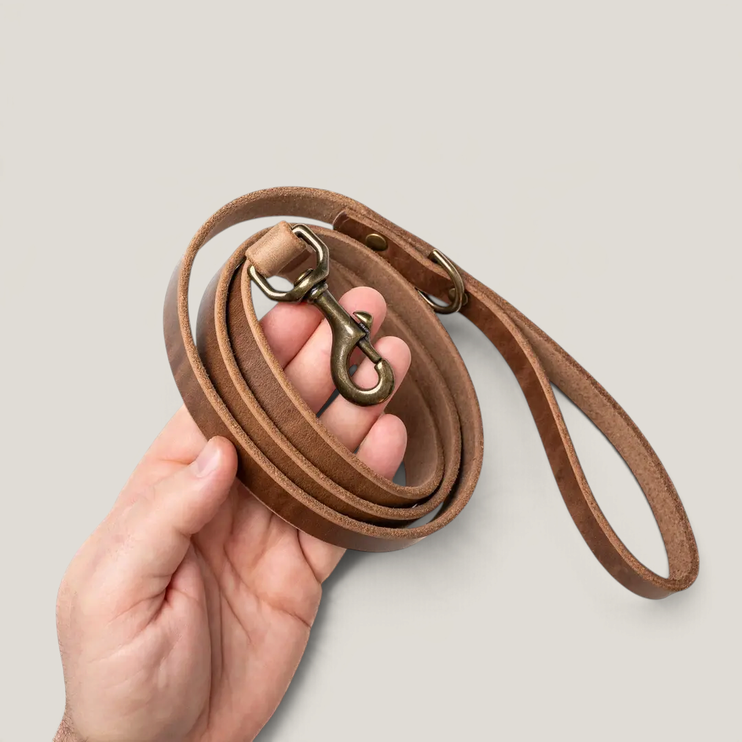 Leather Dog Leash - Natural
